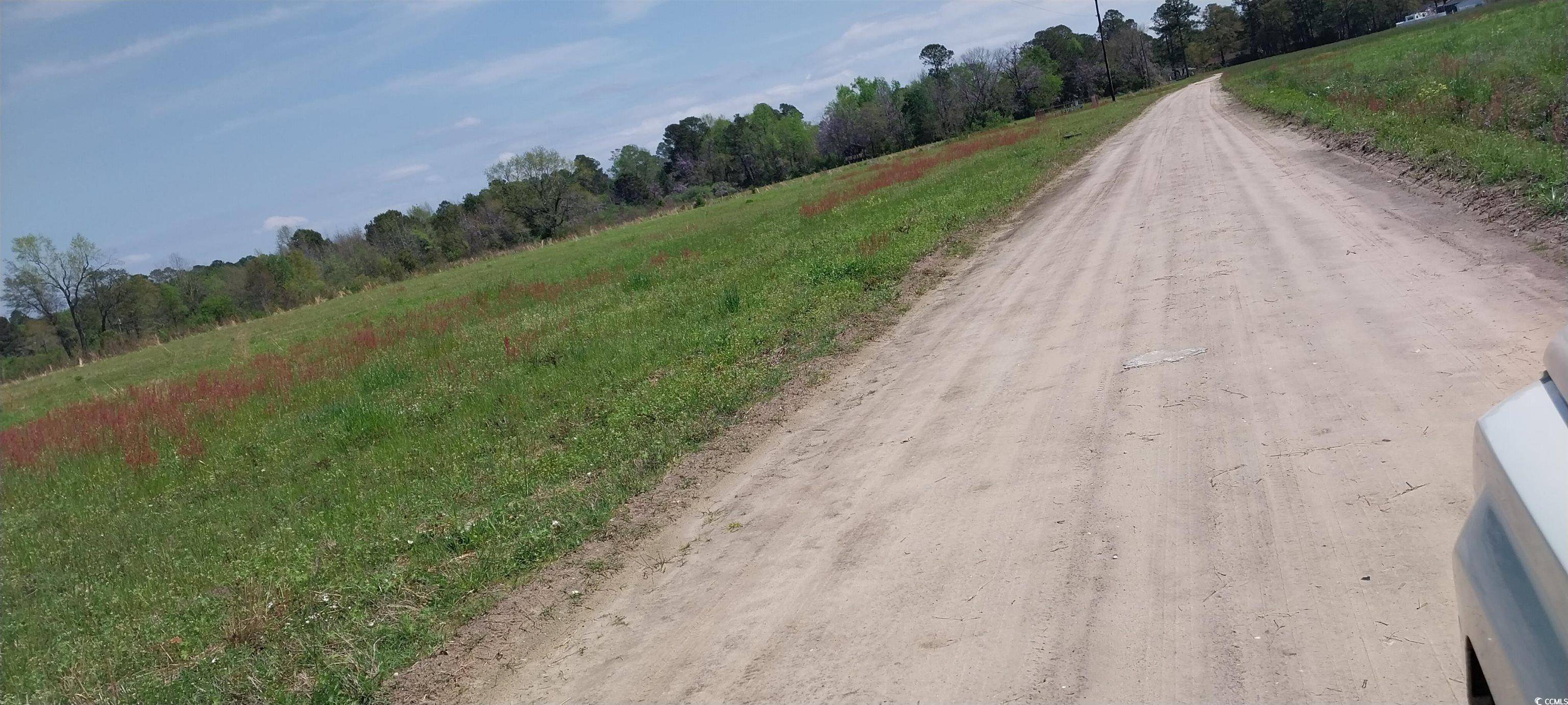 Mullins, SC 29574,1C Davis Lane