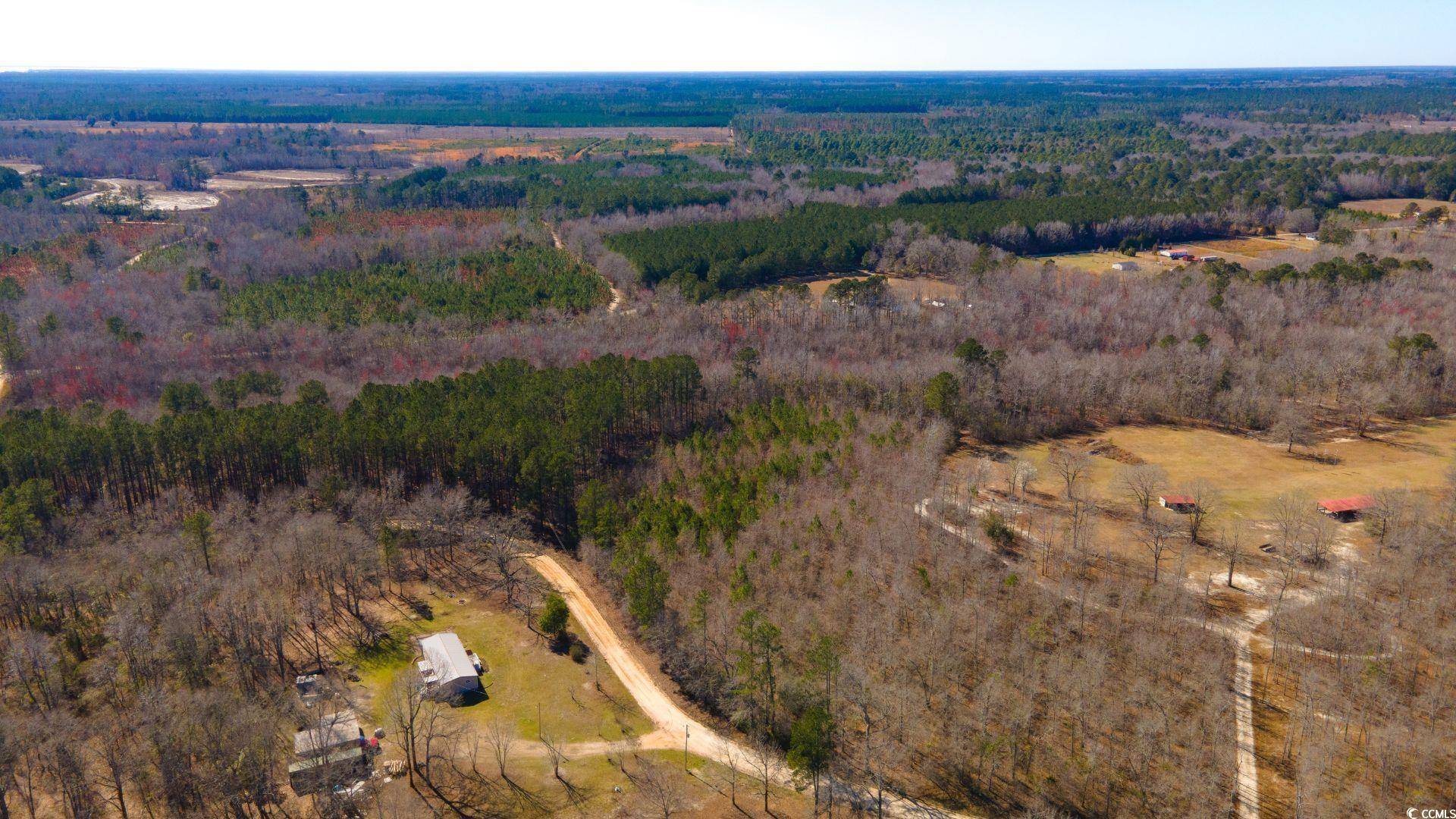 Greeleyville, SC 29056,0 Henry Rd.