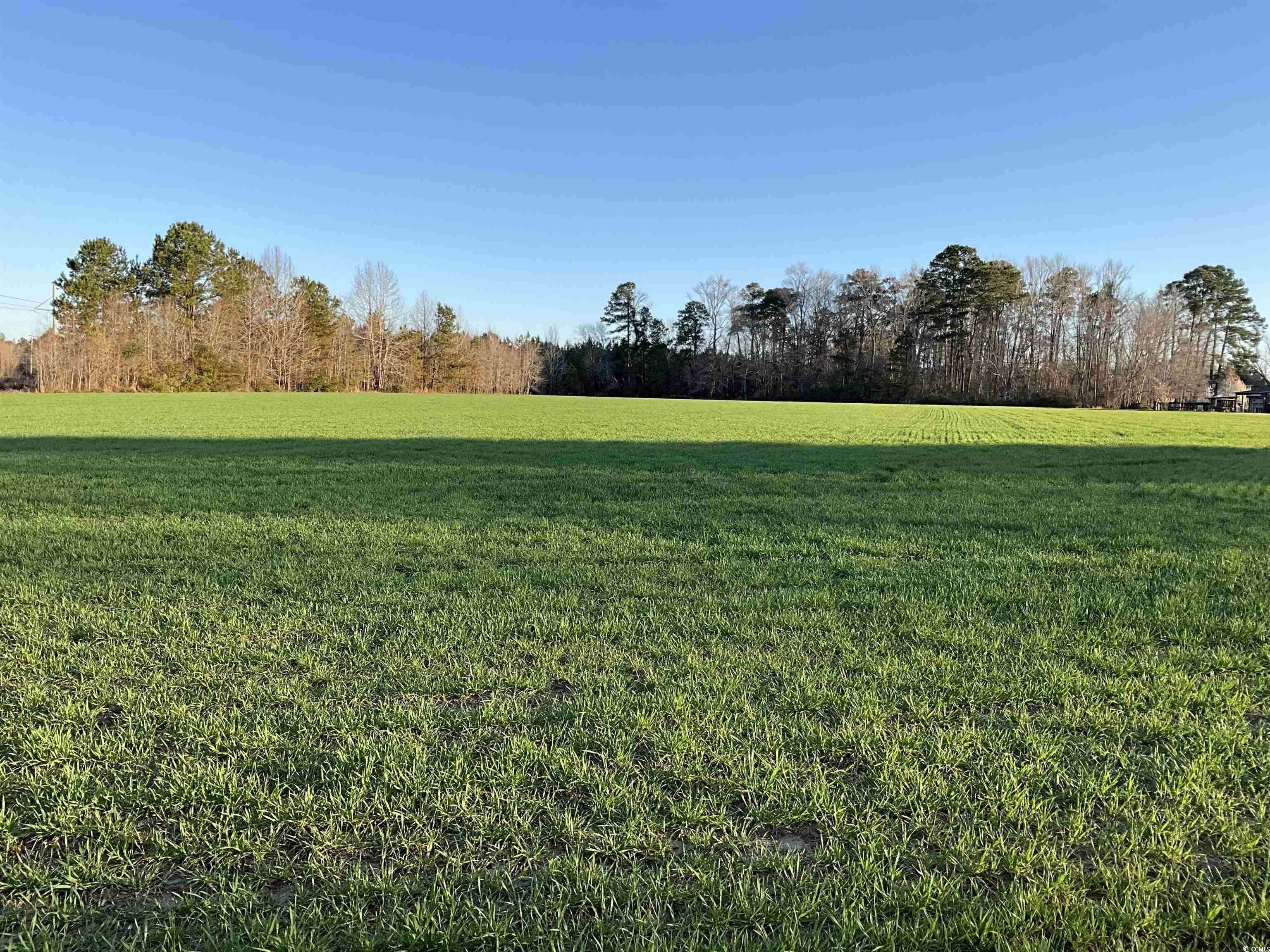 Latta, SC 29565,TBD Carroll Rd.