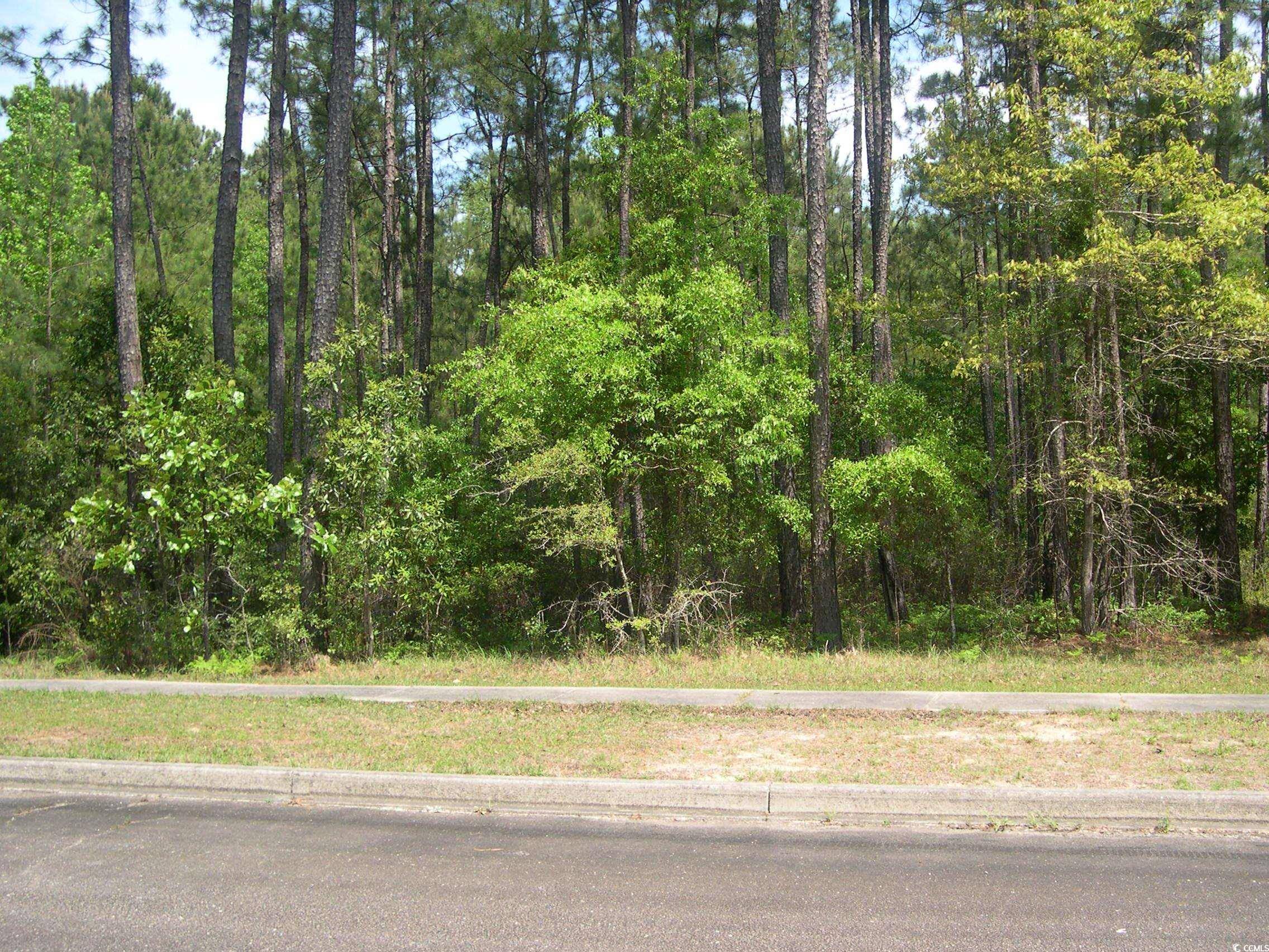 Georgetown, SC 29440,103 Pineberry Dr.