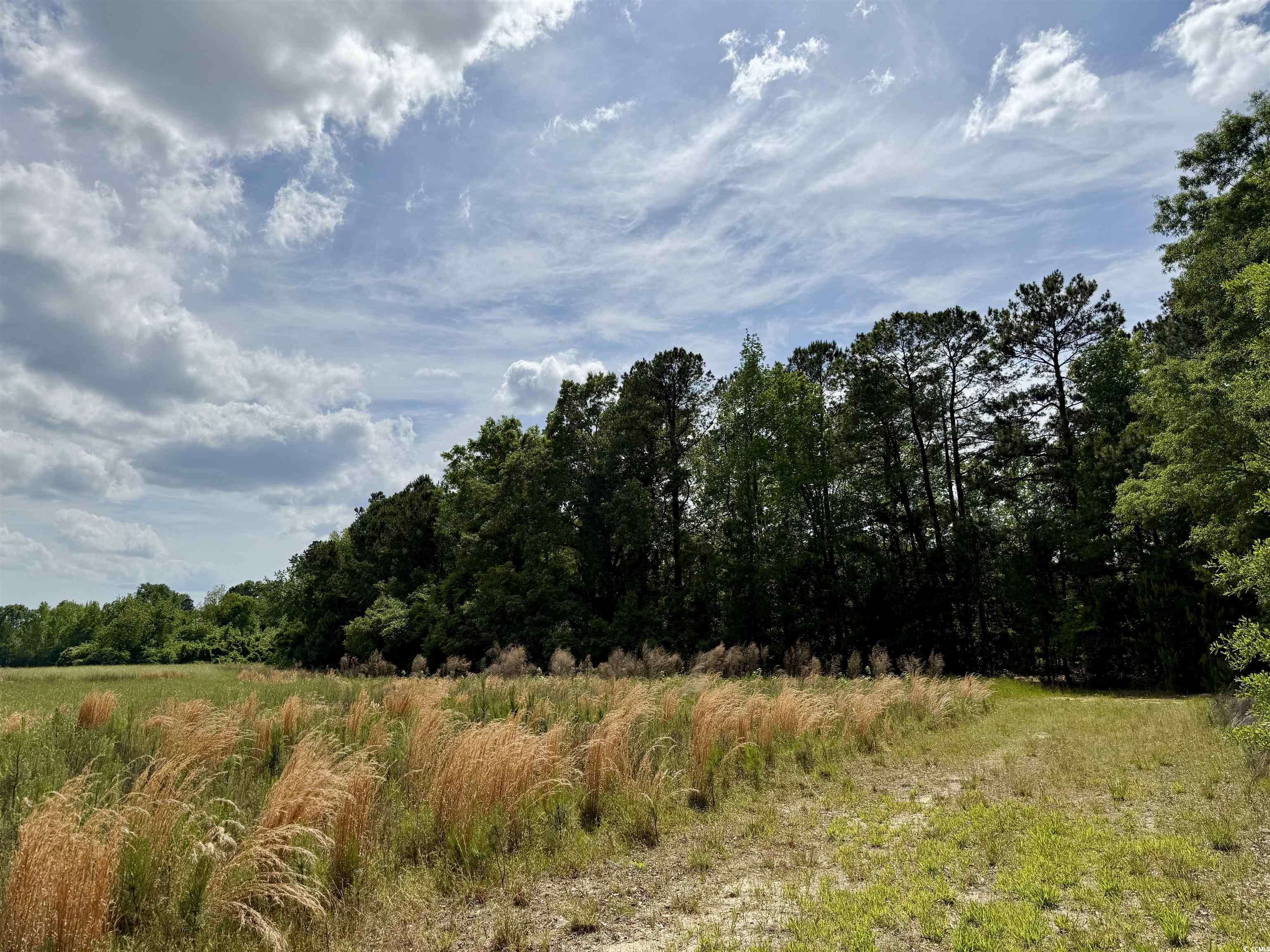 Salters, SC 29590,16.42 Acres-TBD Mary Rd.