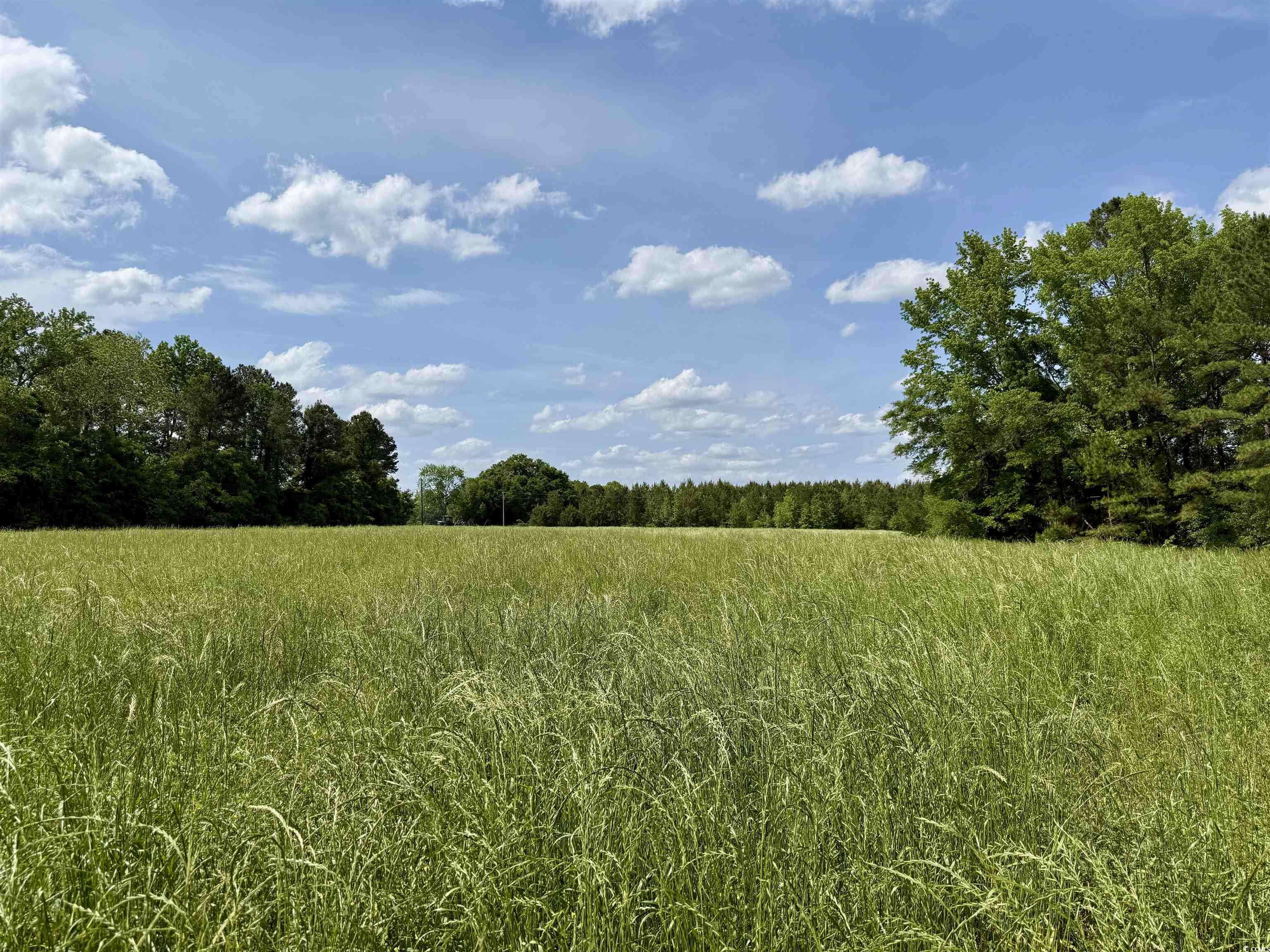 Salters, SC 29590,16.42 Acres-TBD Mary Rd.