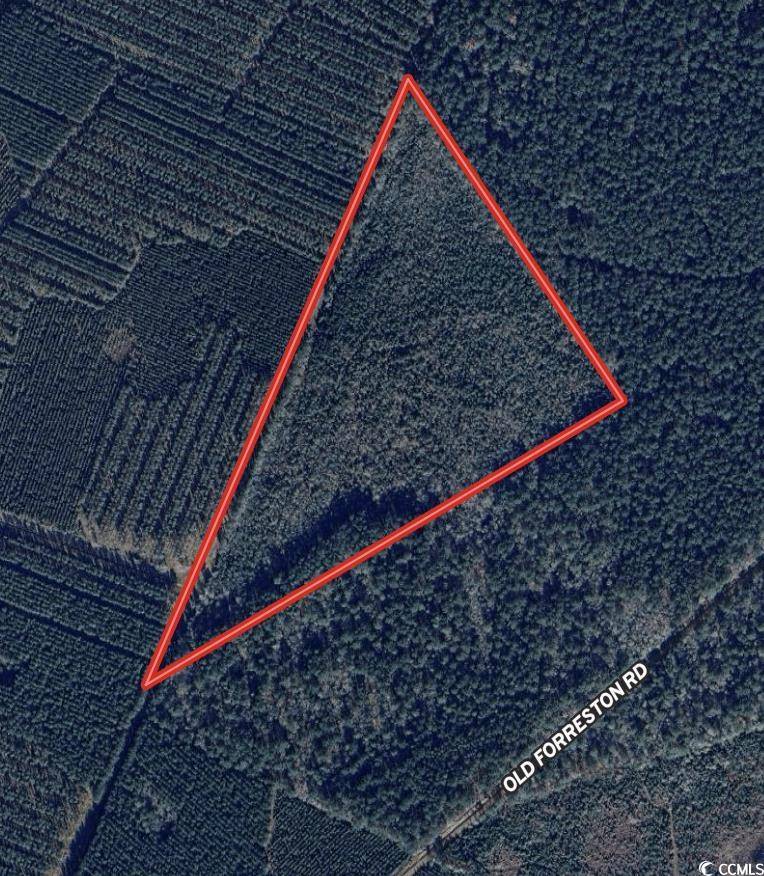 Greeleyville, SC 29056,TBD 24.71 Acres Old Forreston Rd.