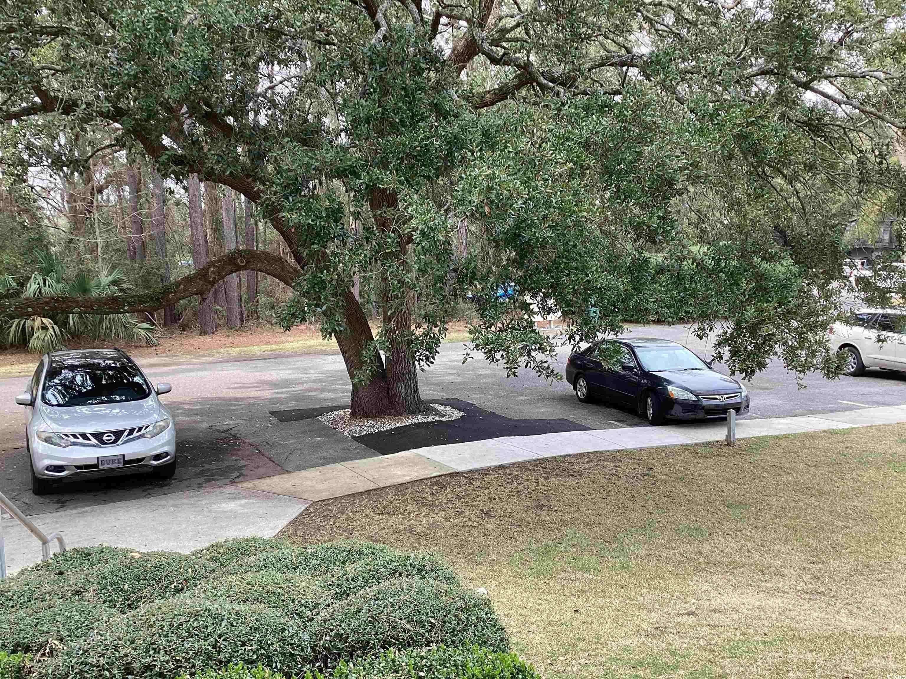 Pawleys Island, SC 29585,409 Salt Marsh Circle #20C
