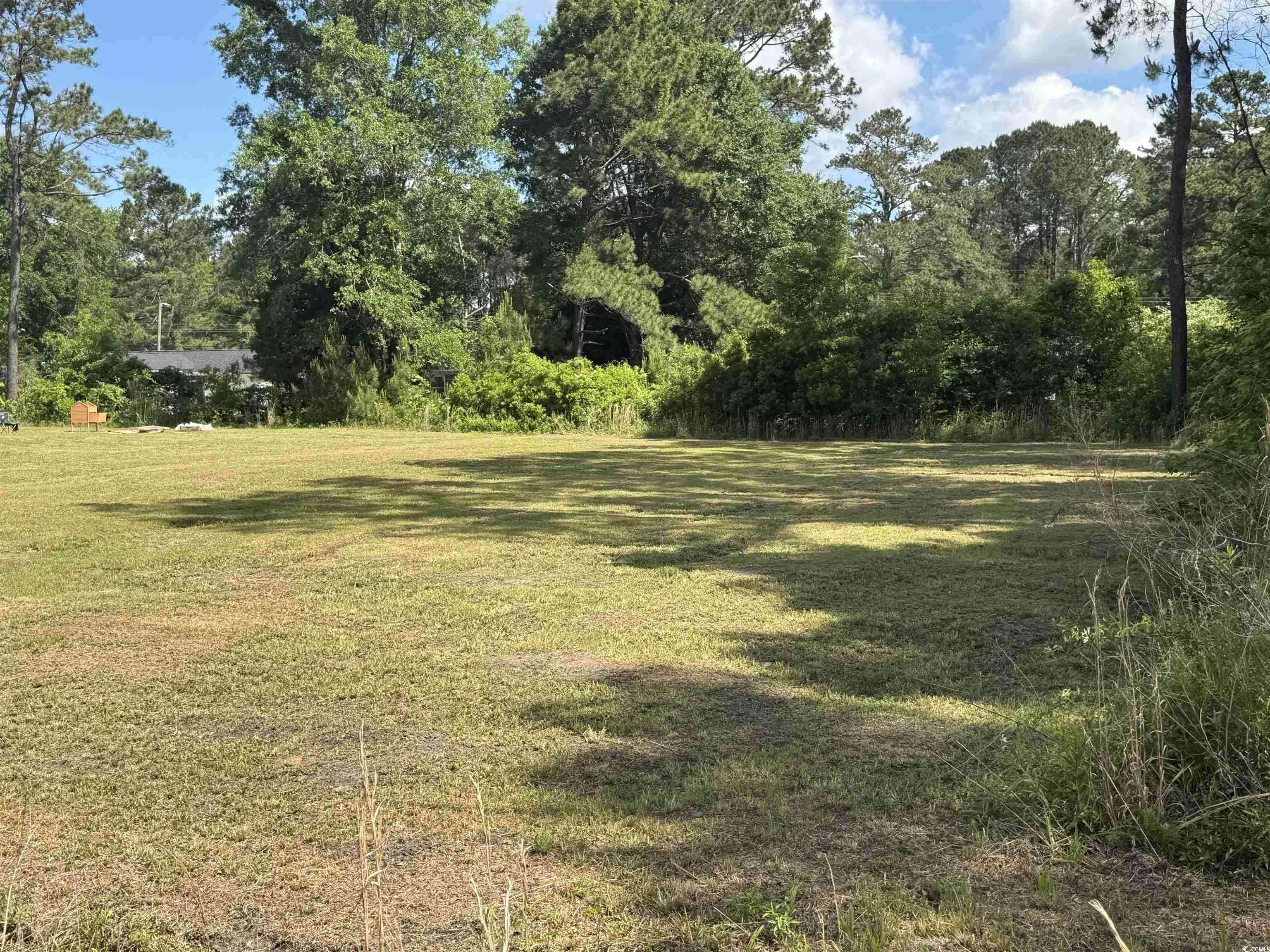 Andrews, SC 29510,tbd James Dr.
