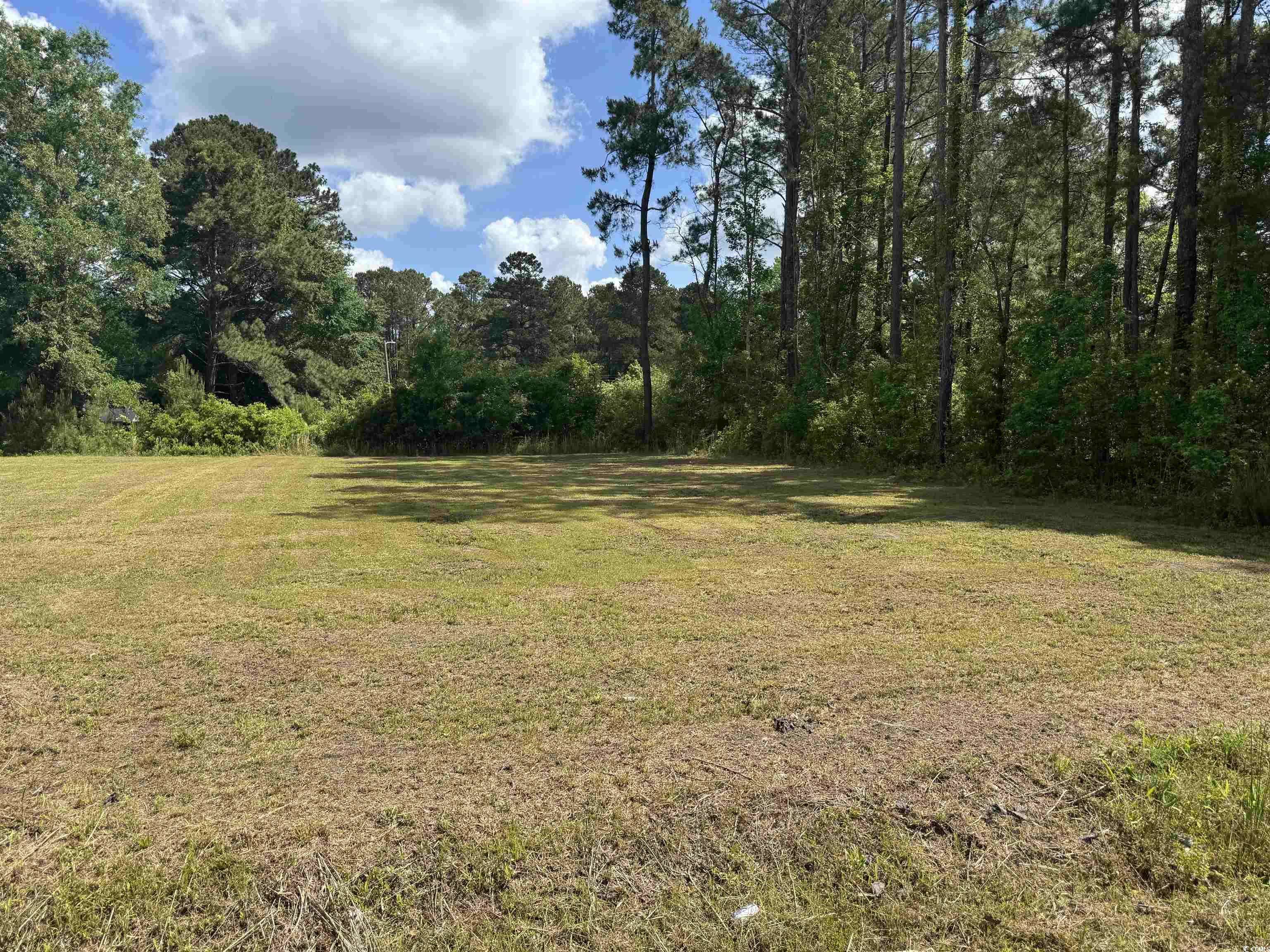 Andrews, SC 29510,tbd James Dr.