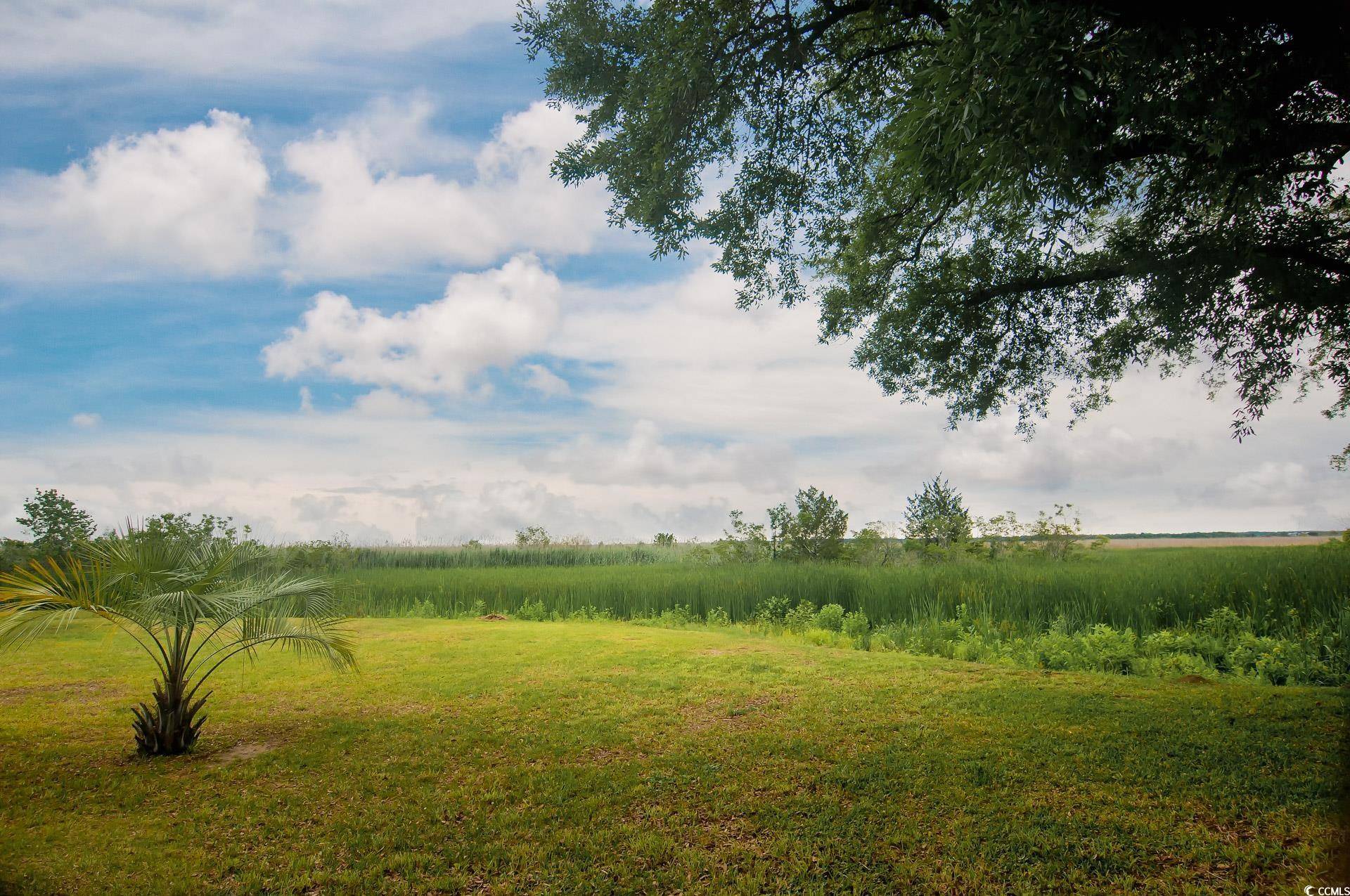 Georgetown, SC 29440,640 Willowbank Rd.