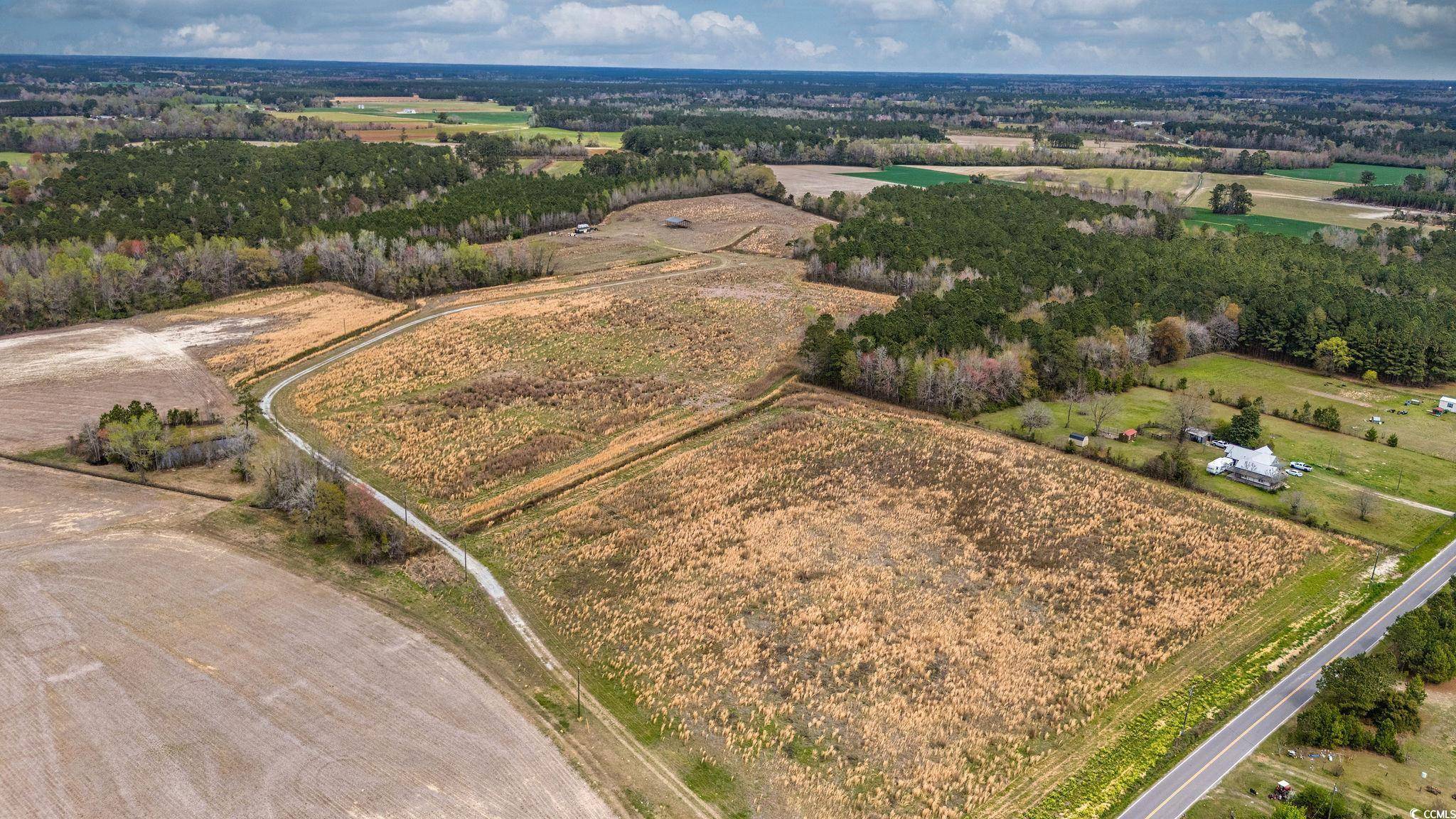 Green Sea, SC 29545,TBD Powell Rd.