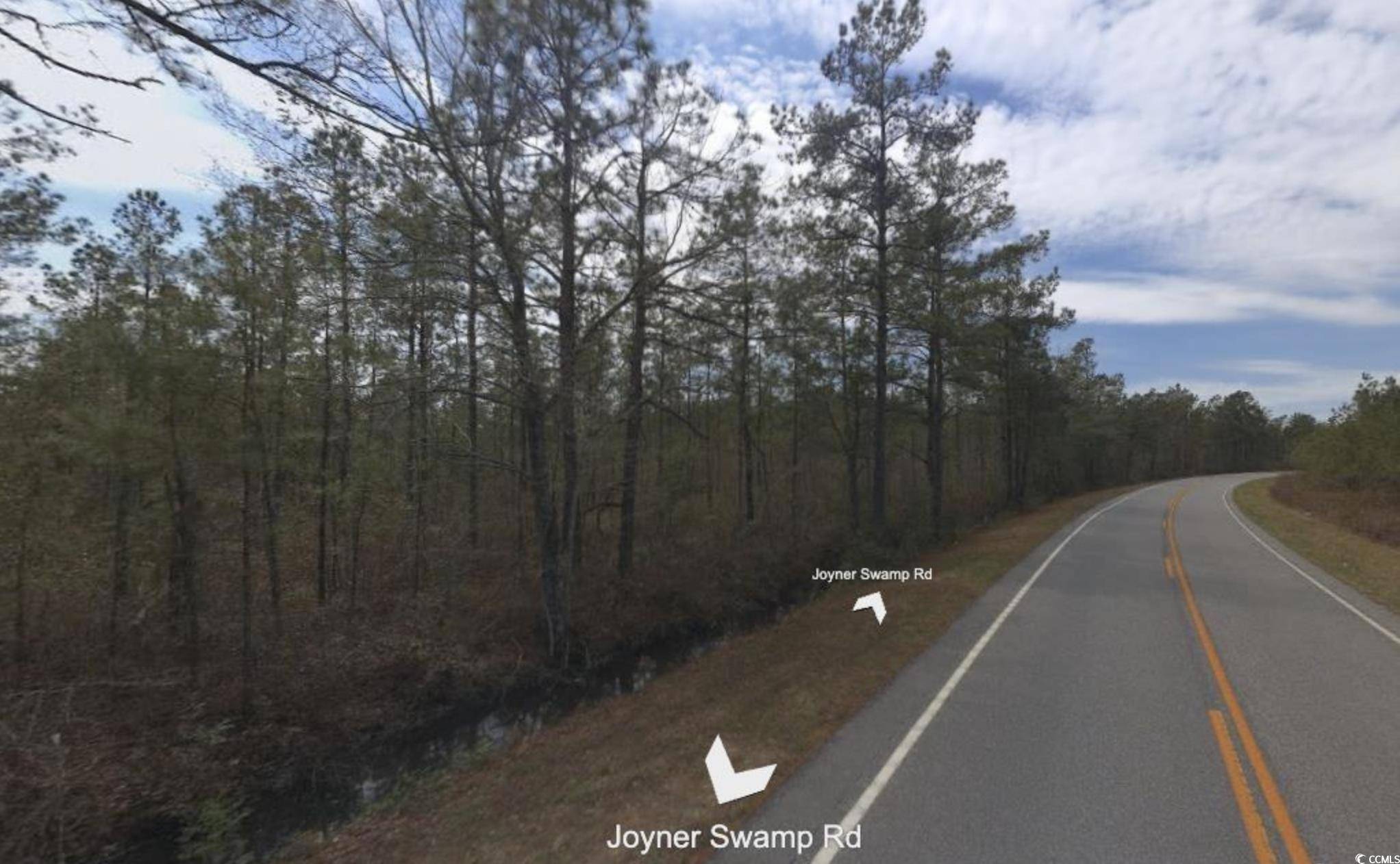 Galivants Ferry, SC 29544,TBD Joyner Swamp Rd.