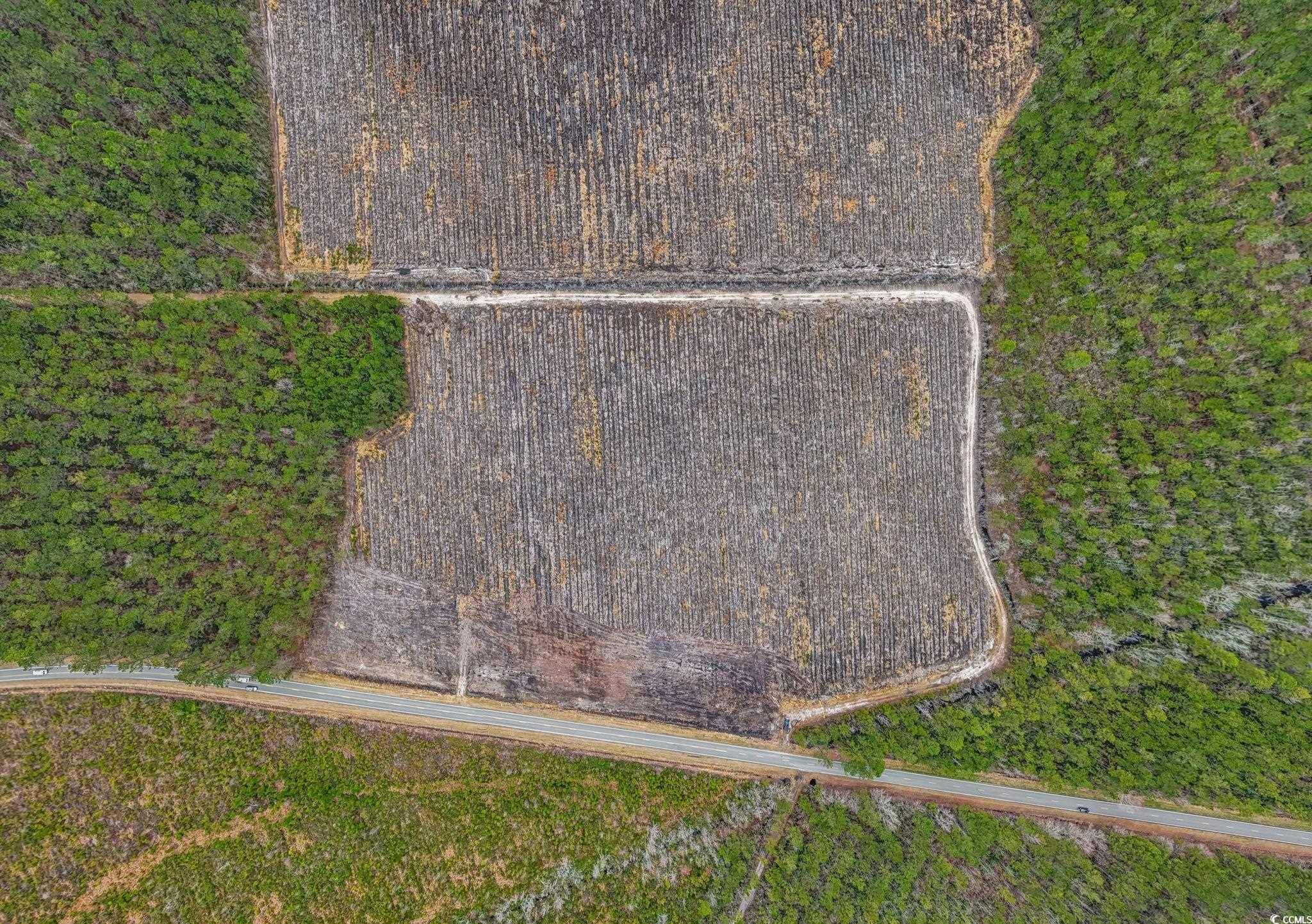 Galivants Ferry, SC 29544,TBD Joyner Swamp Rd.