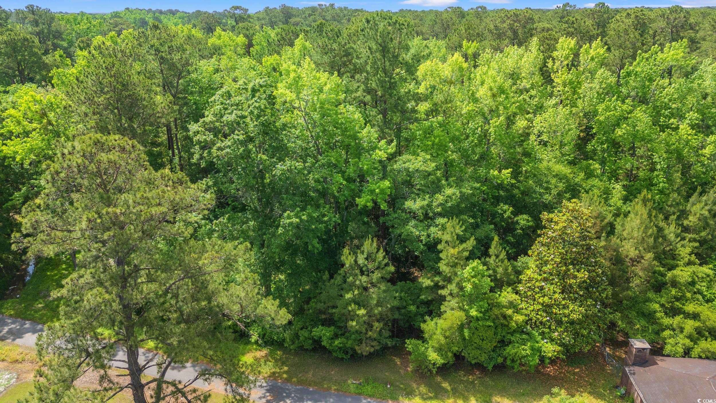 Conway, SC 29527,TBD Duncan Ln.