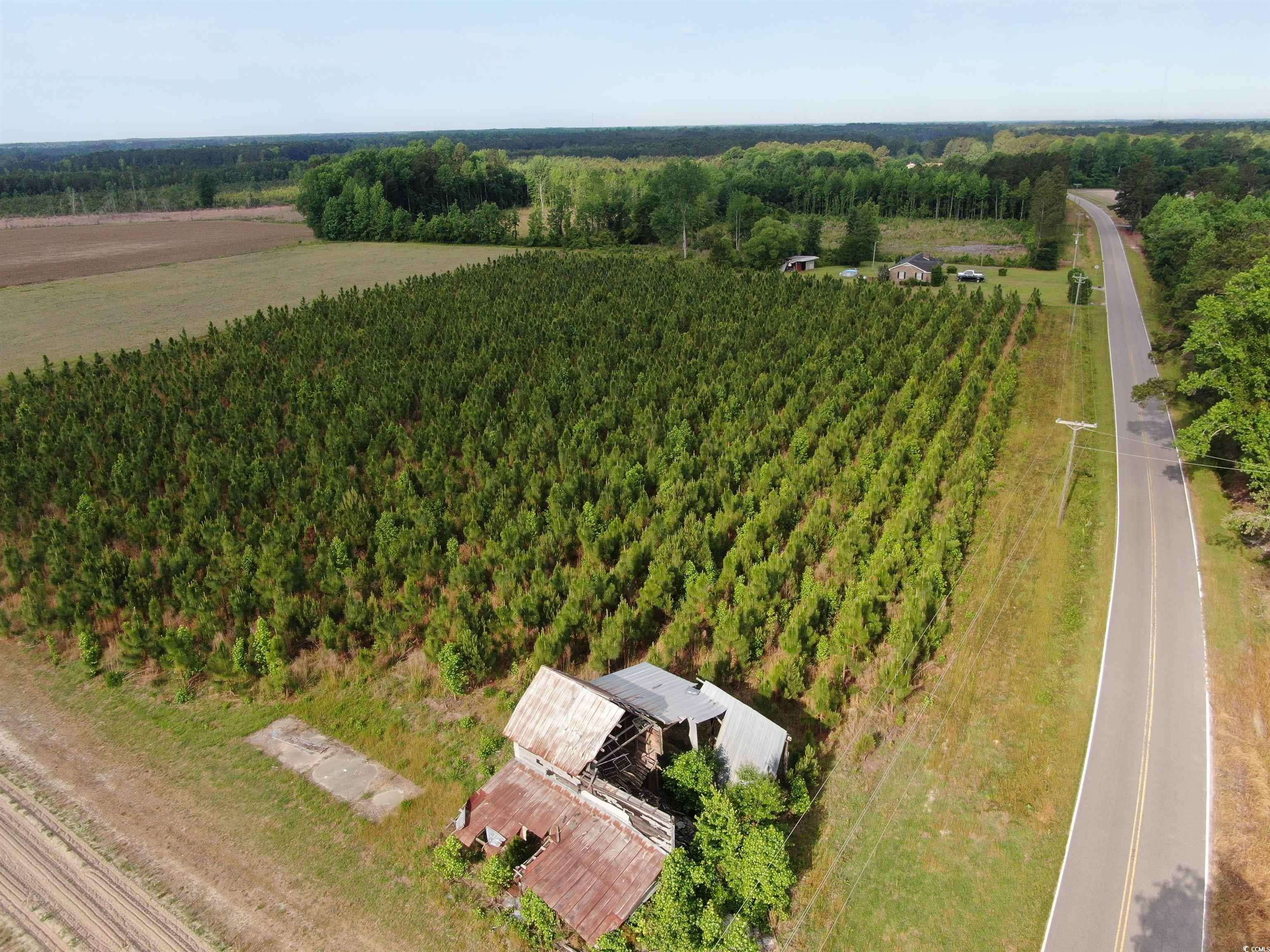 Nichols, SC 29581,TBD Highway 430