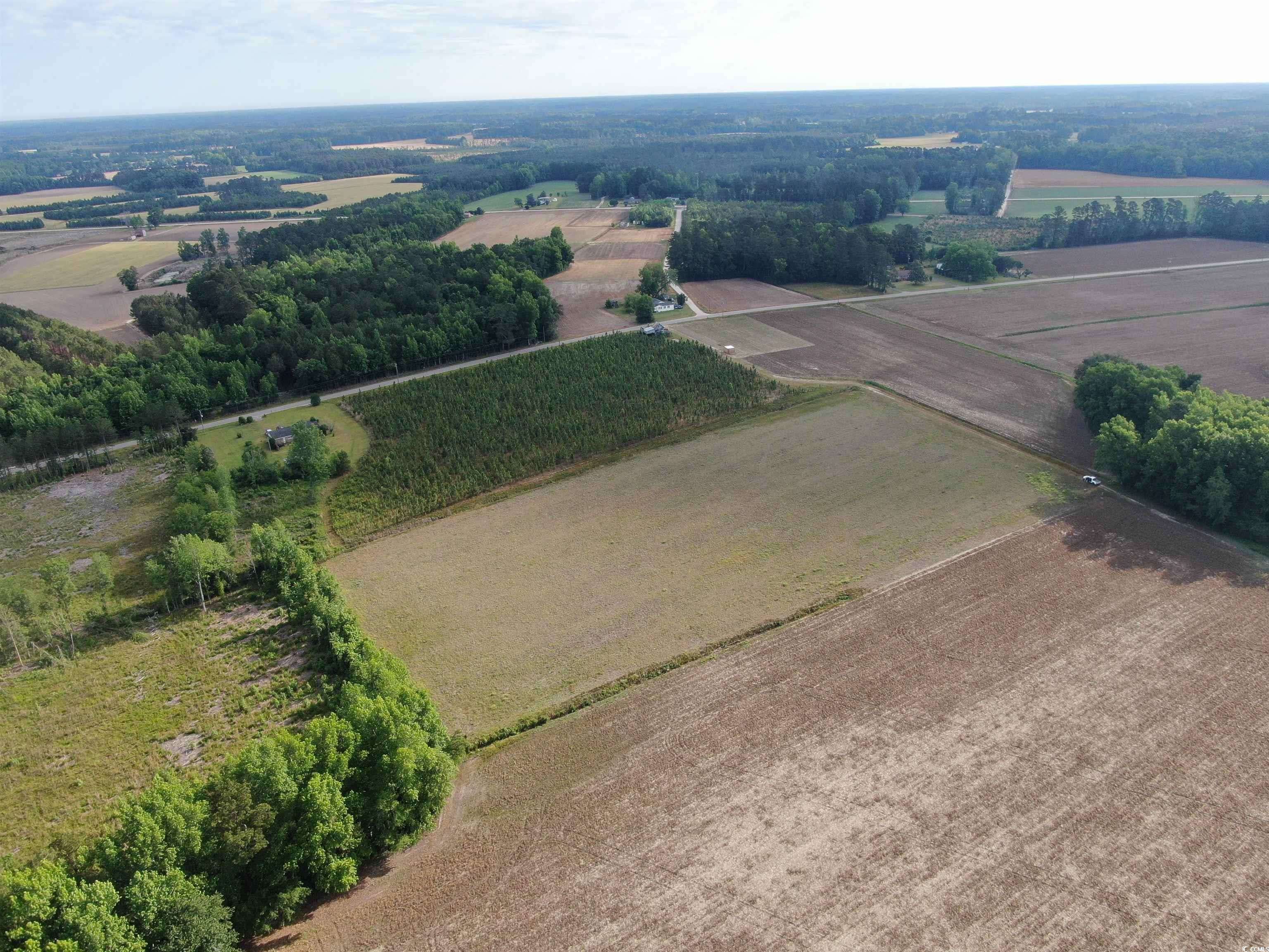 Nichols, SC 29581,TBD Highway 430