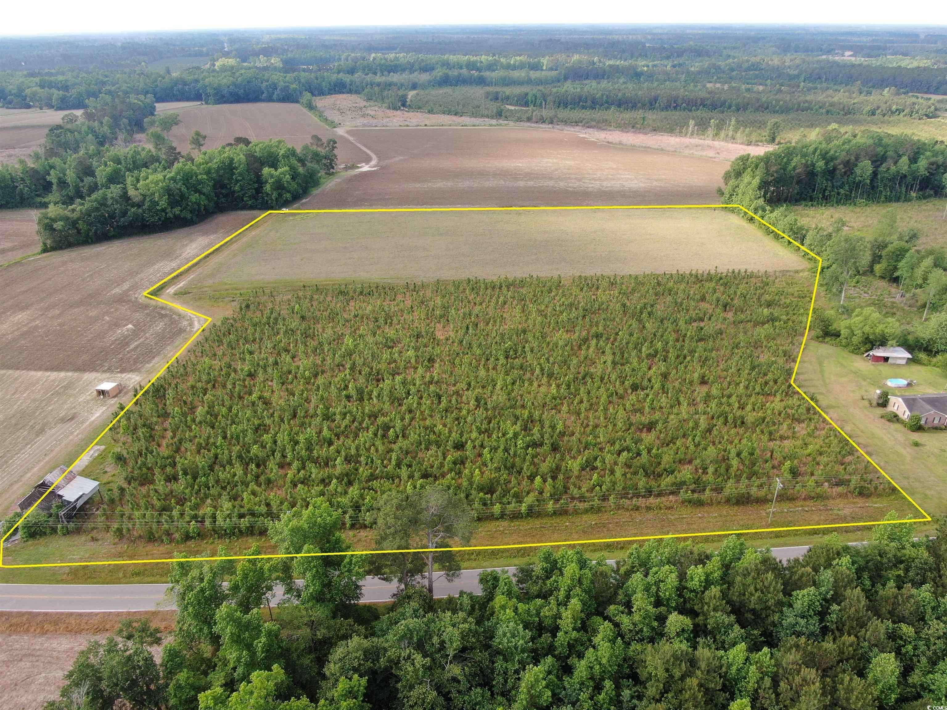 Nichols, SC 29581,TBD Highway 430