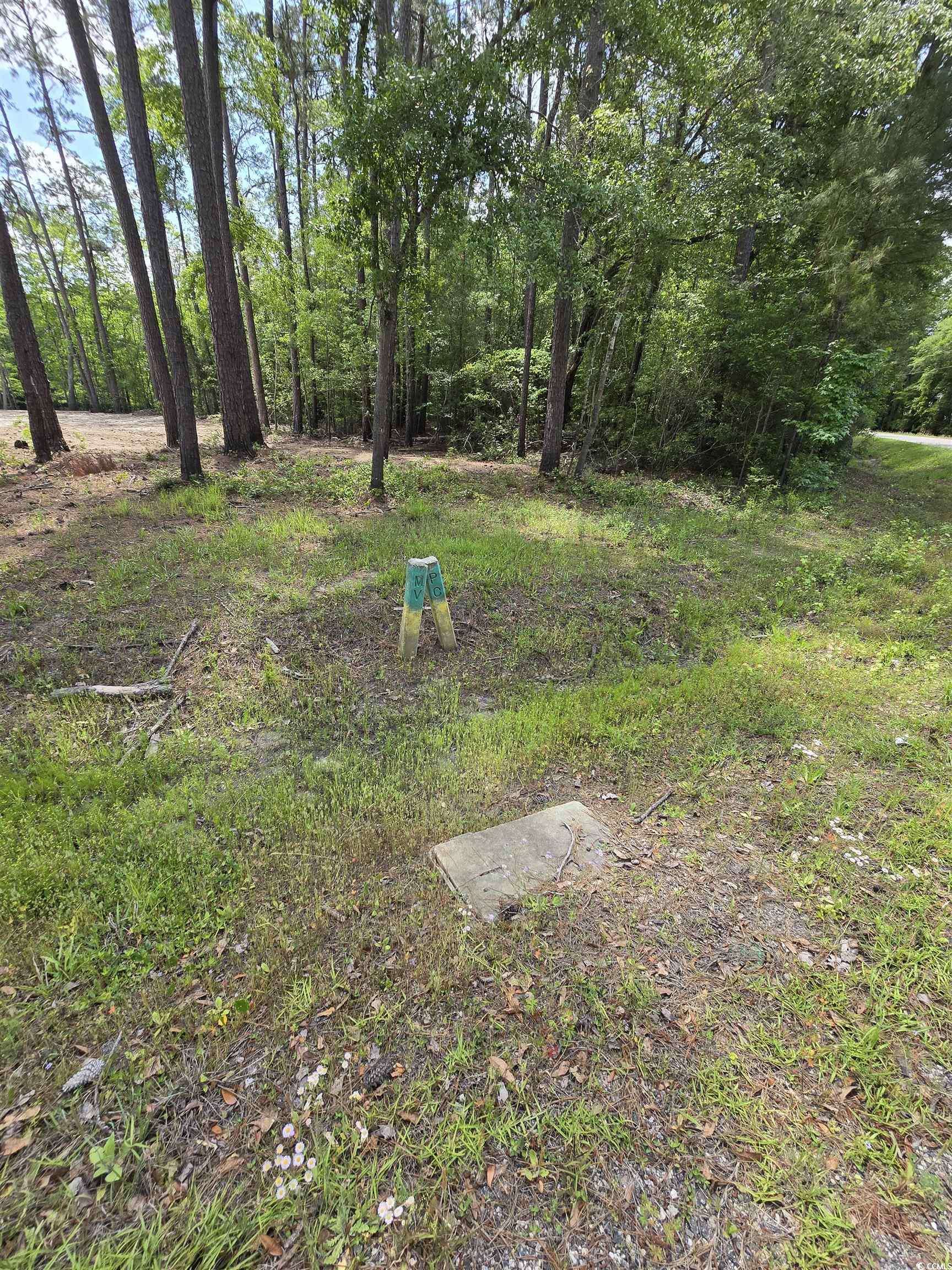 Conway, SC 29526,Lot 17 Rowe Pond Rd.