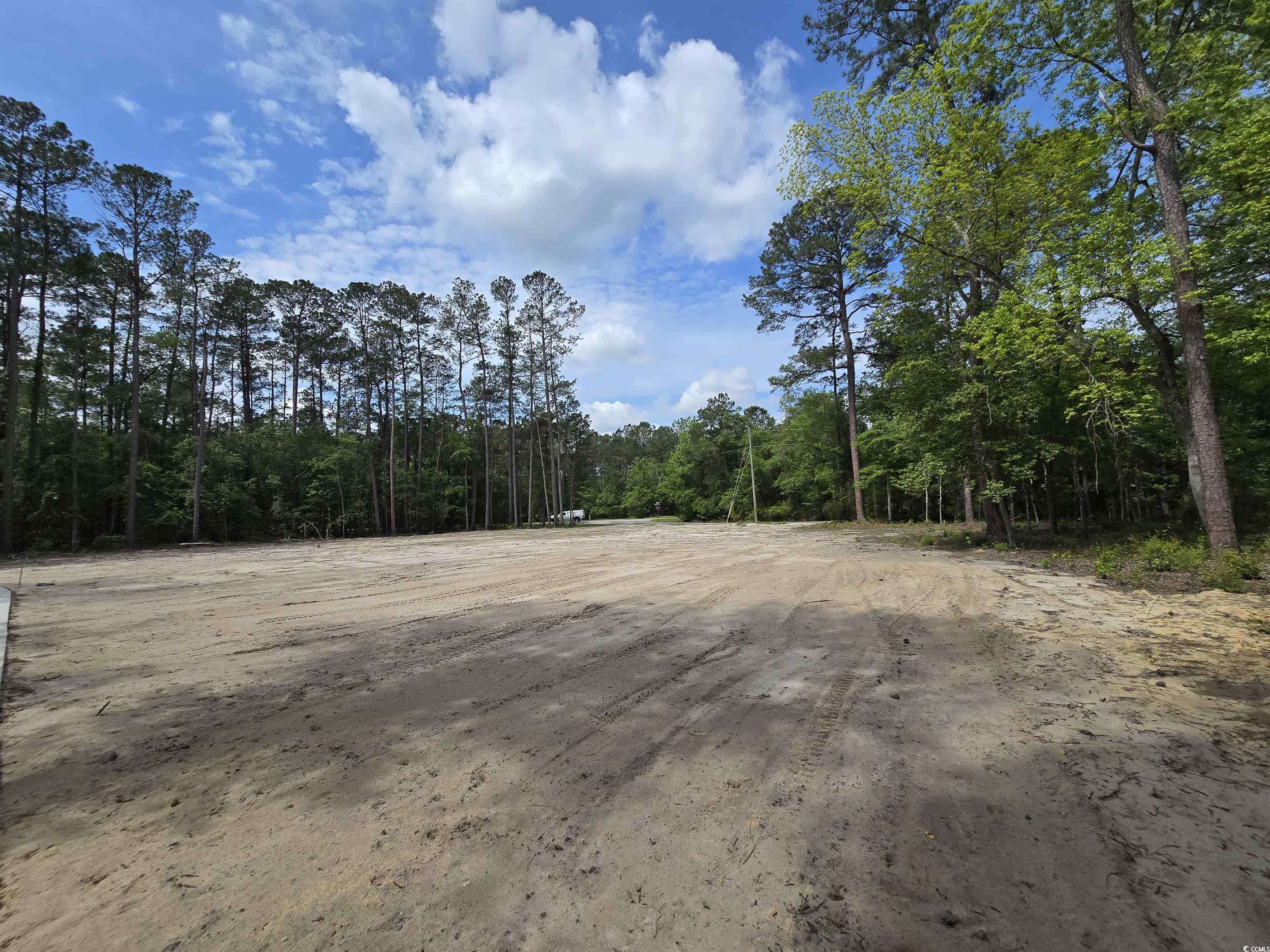 Conway, SC 29526,Lot 17 Rowe Pond Rd.