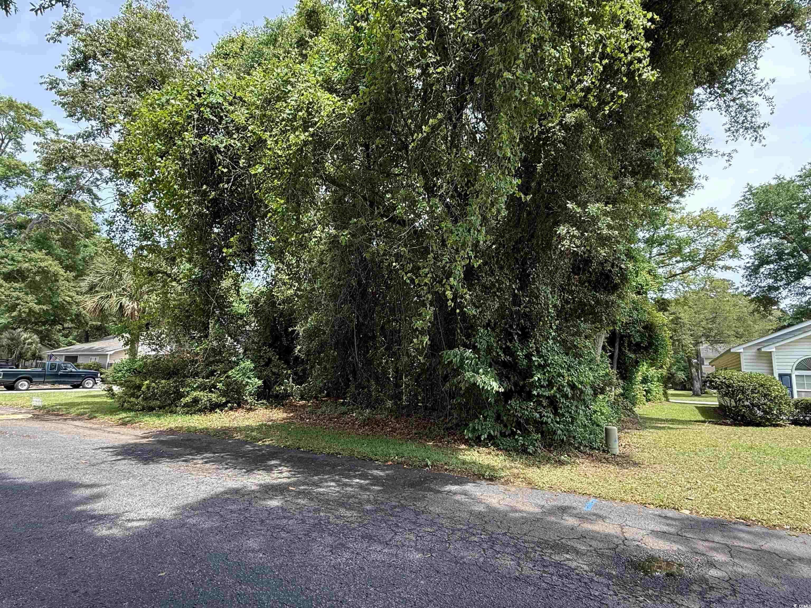 Murrells Inlet, SC 29576,786 Planters Trace Loop