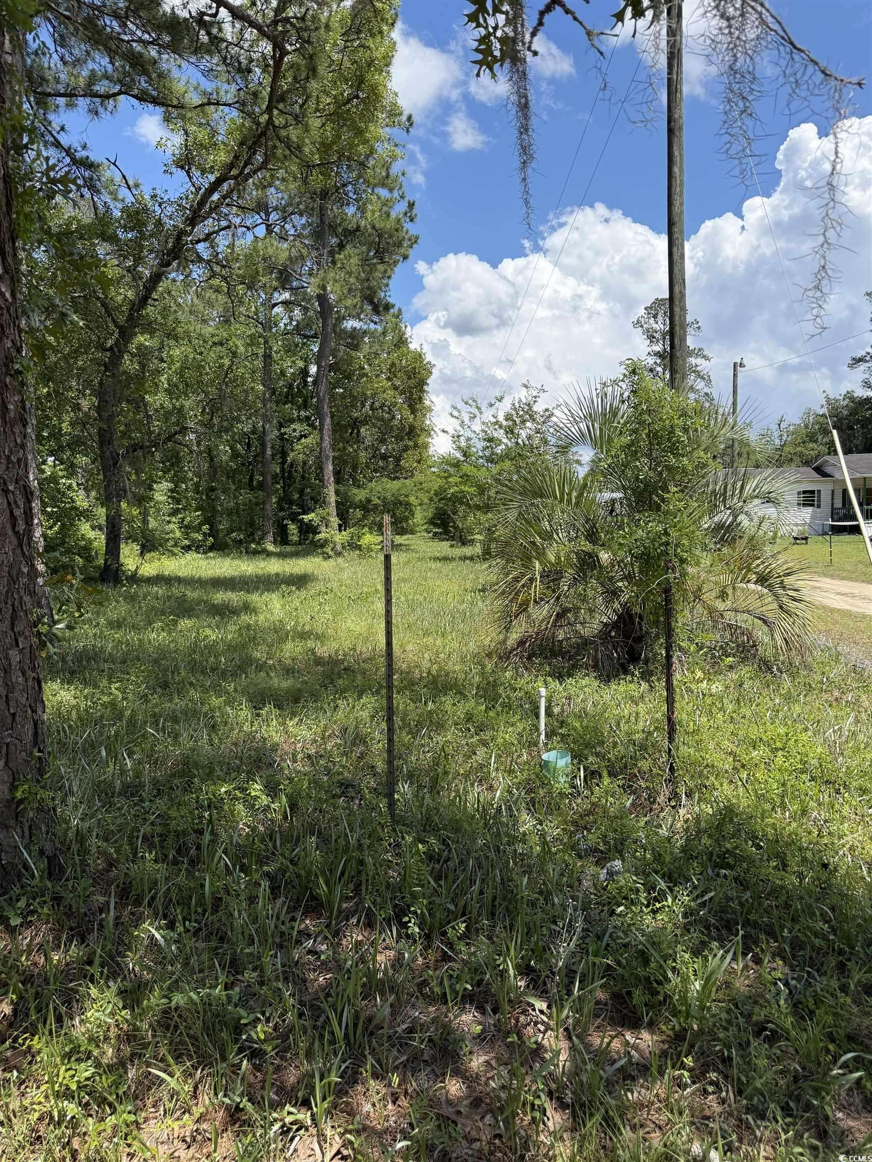 Conway, SC 29527,TBD Hampton Rd.