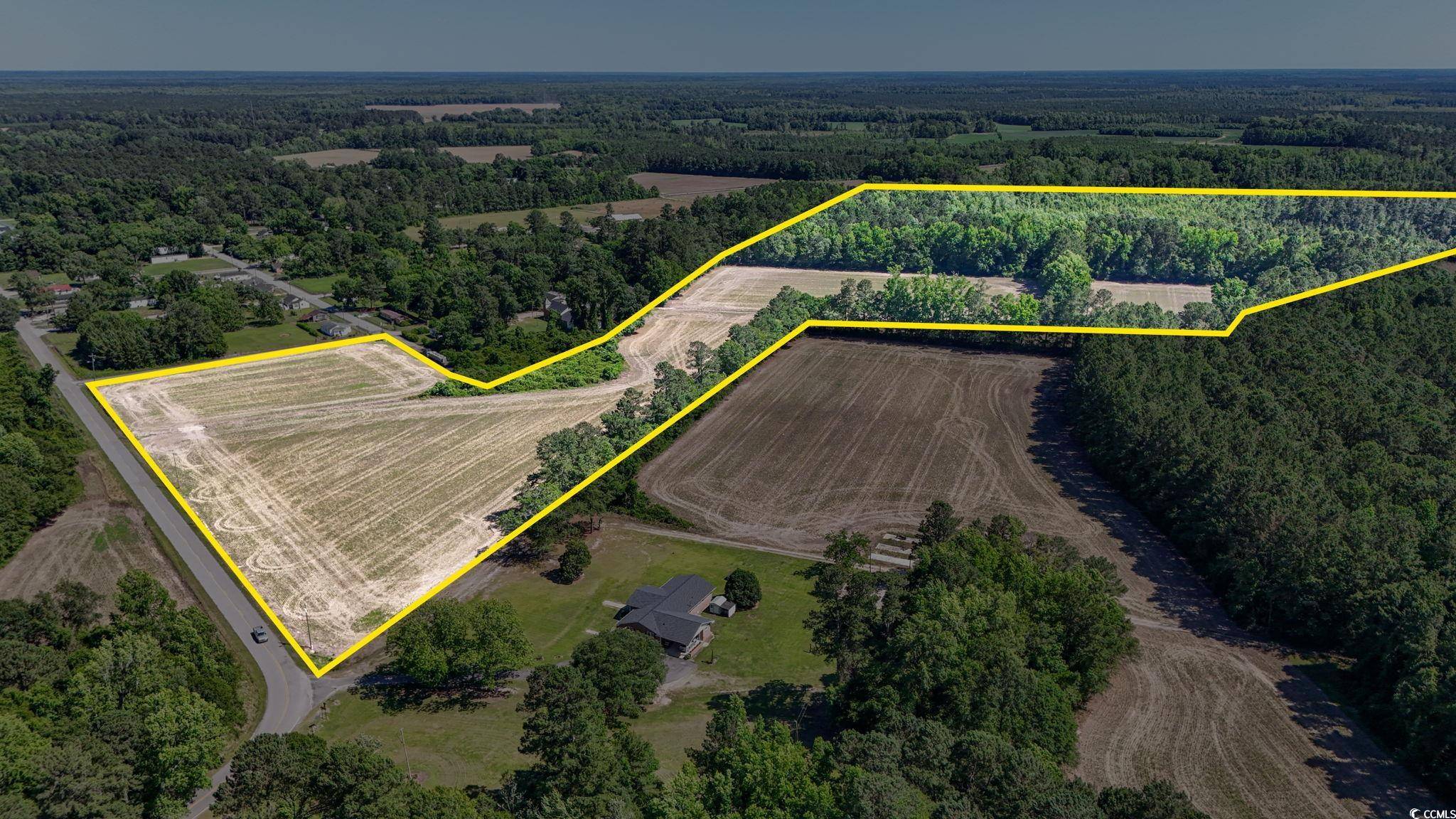 Centenary, SC 29519,TBD Francis Gibson Rd.