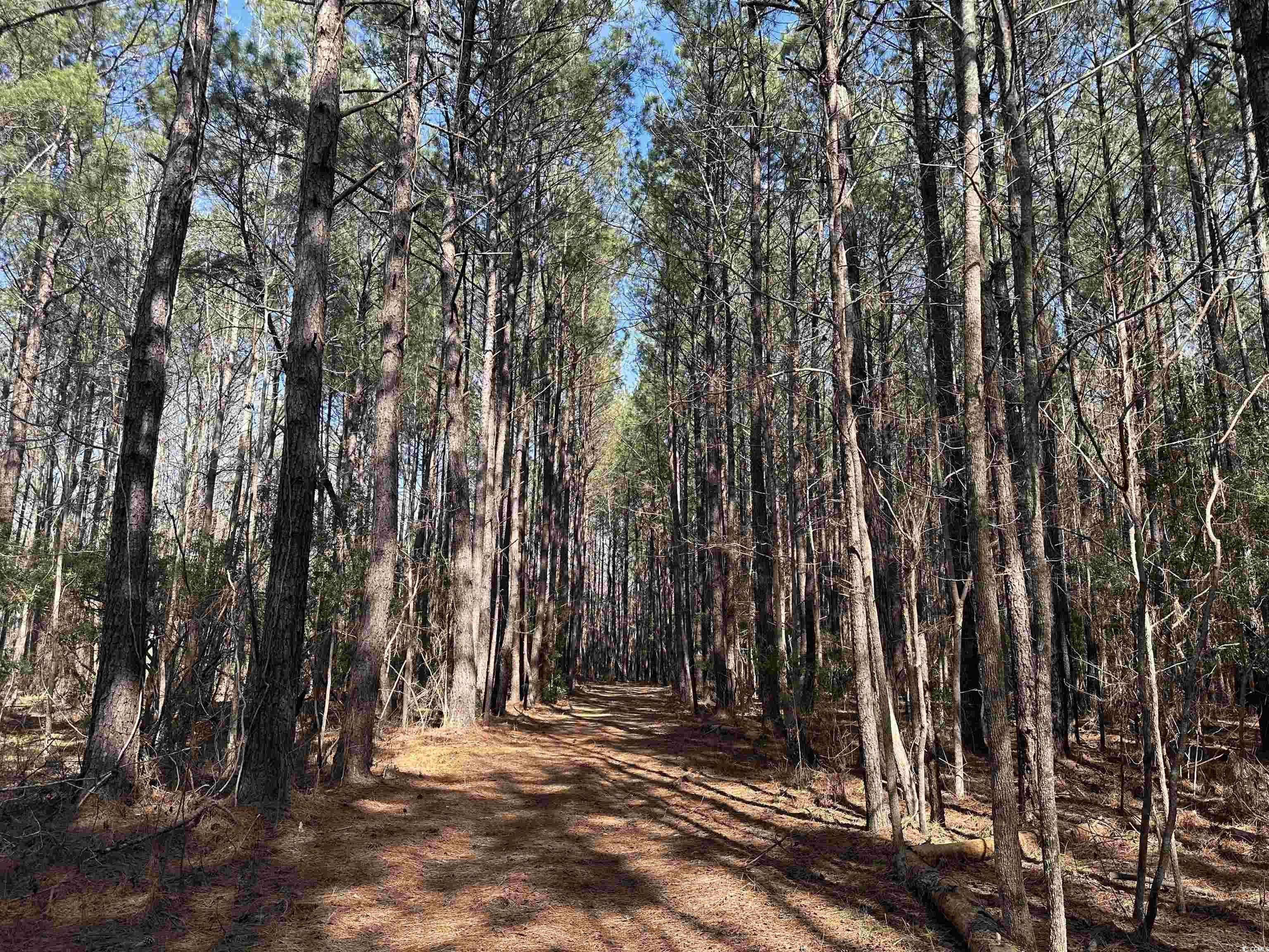 Salters, SC 29590,TBD Union Church Rd.