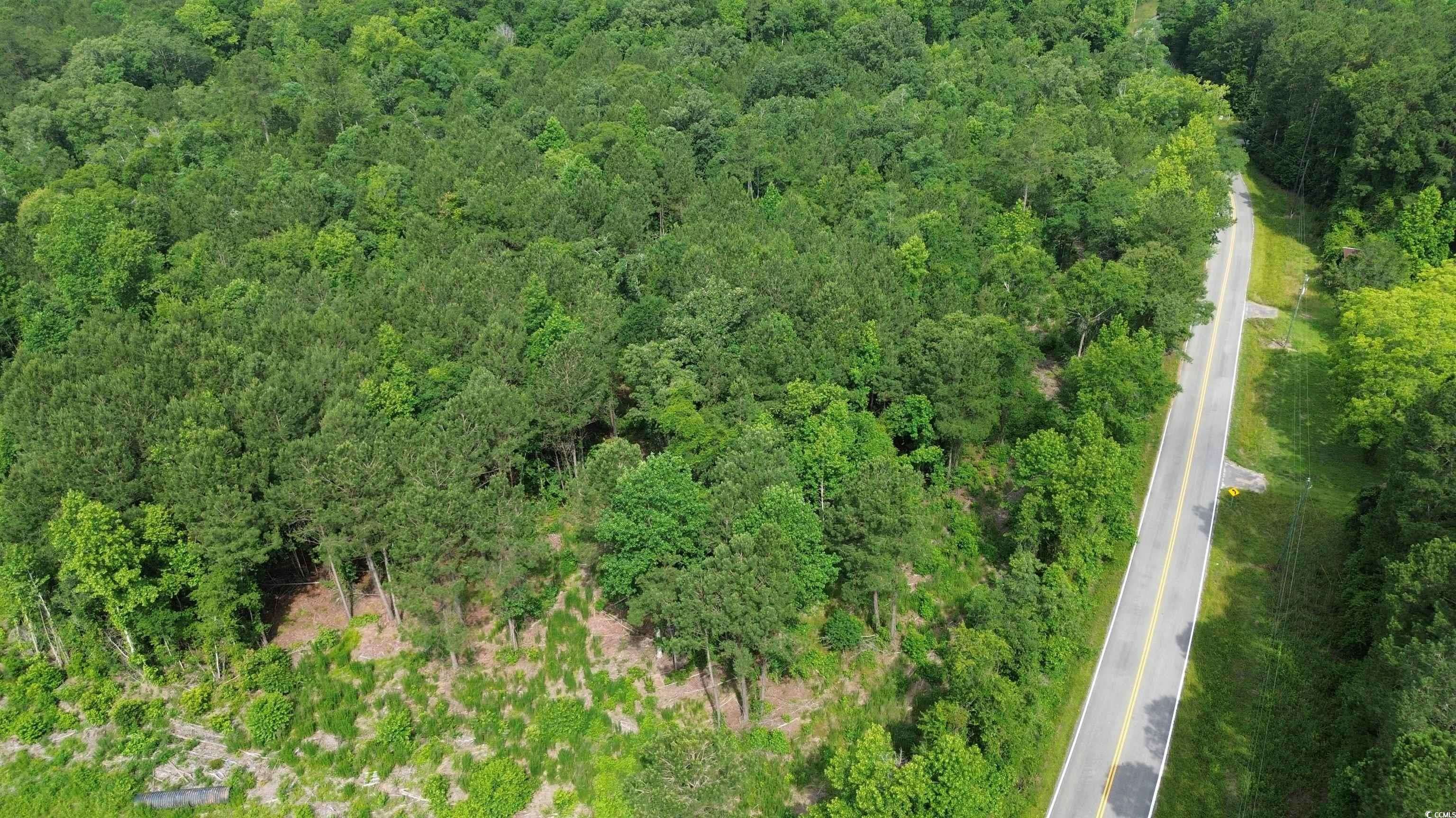 Loris, SC 29569,TBD Fries Bay Rd.