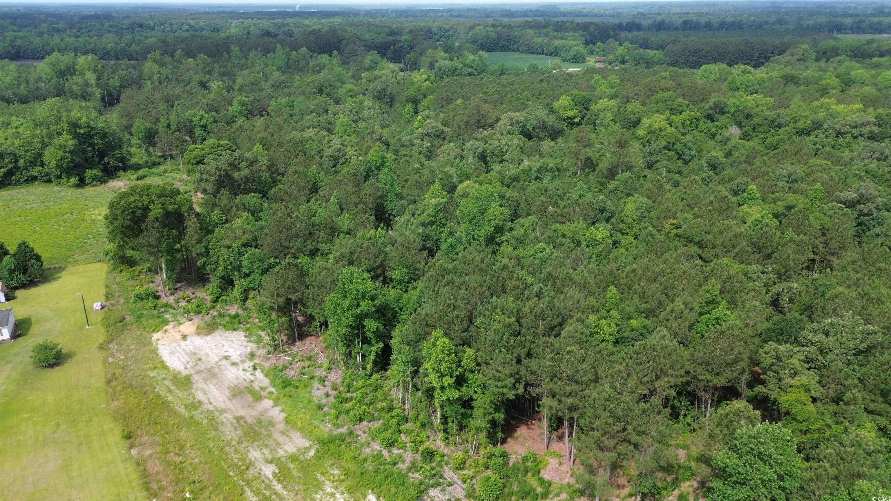 Loris, SC 29569,TBD Fries Bay Rd.