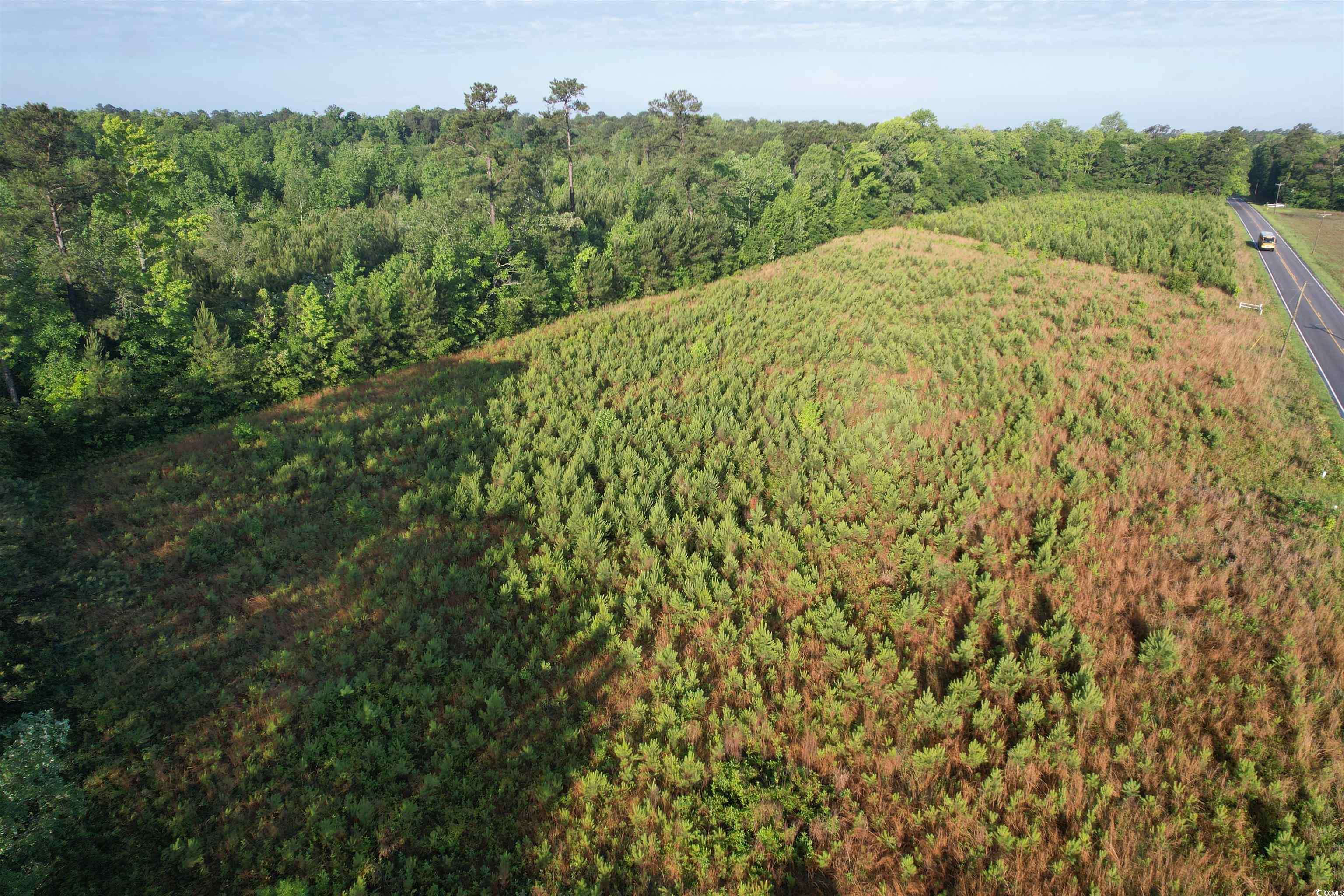 Hemingway, SC 29554,7 Acres-TBD Old Pee Dee Rd.