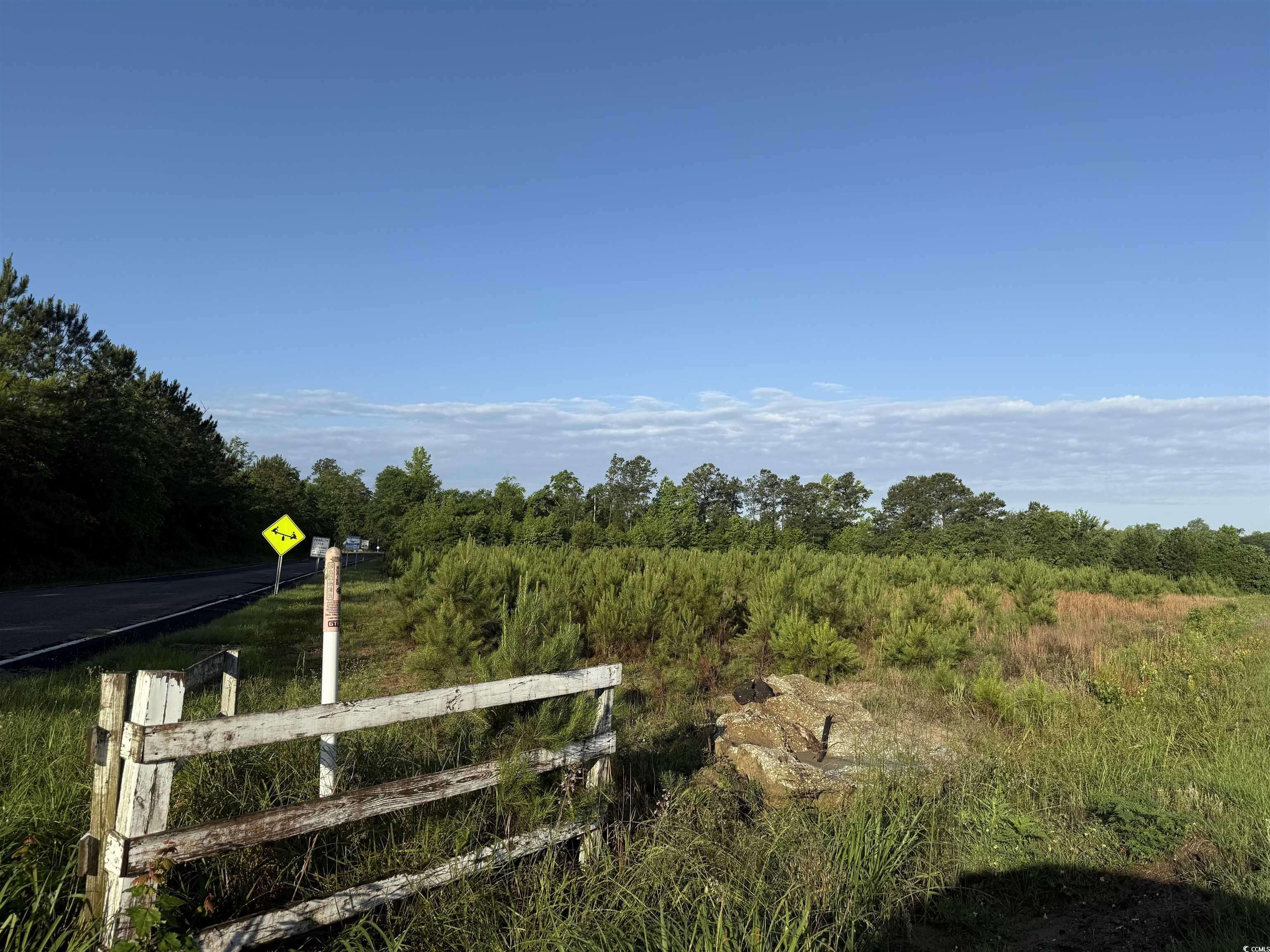Hemingway, SC 29554,7 Acres-TBD Old Pee Dee Rd.