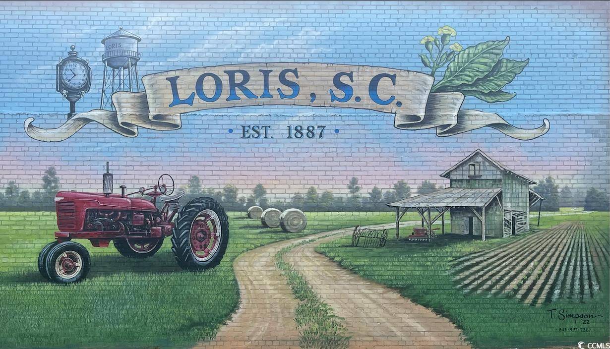 Loris, SC 29569,908 Highway 9 Business E