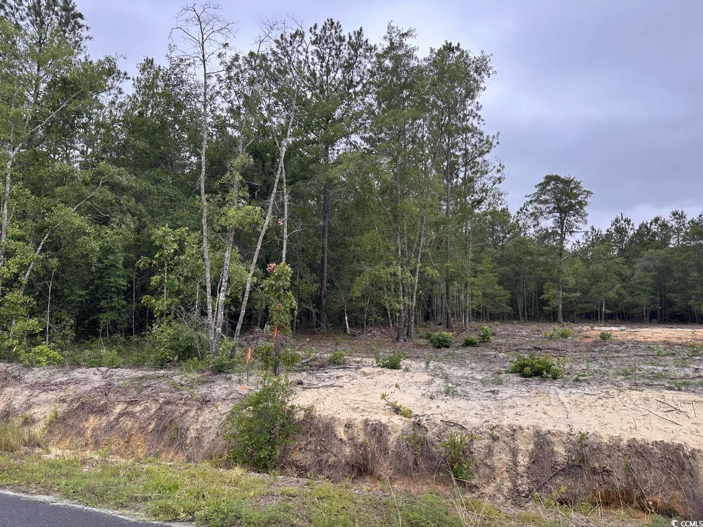 Loris, SC 29569,3-A McNabb Rd.