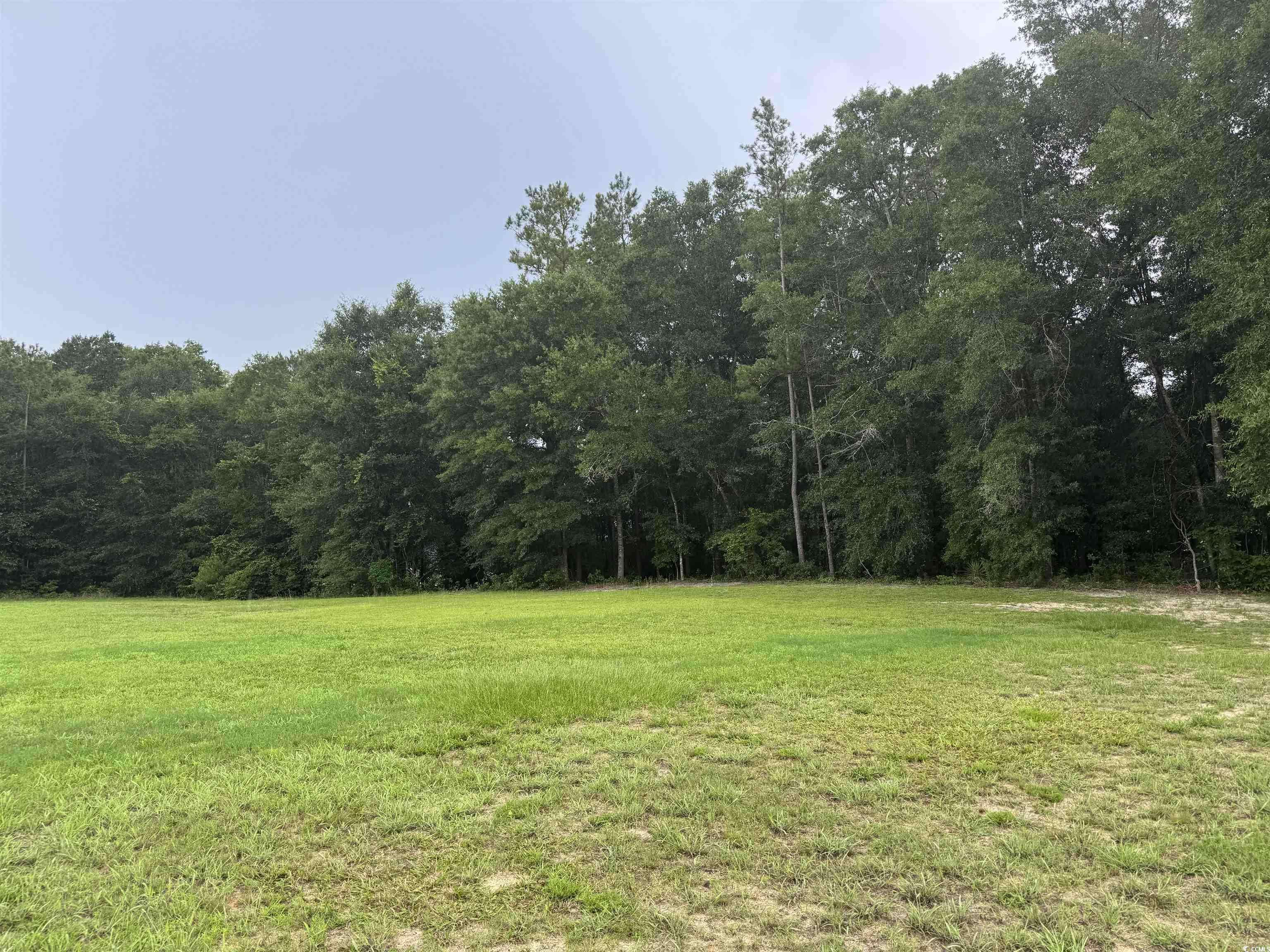 Georgetown, SC 29440,71 Mohican Dr.