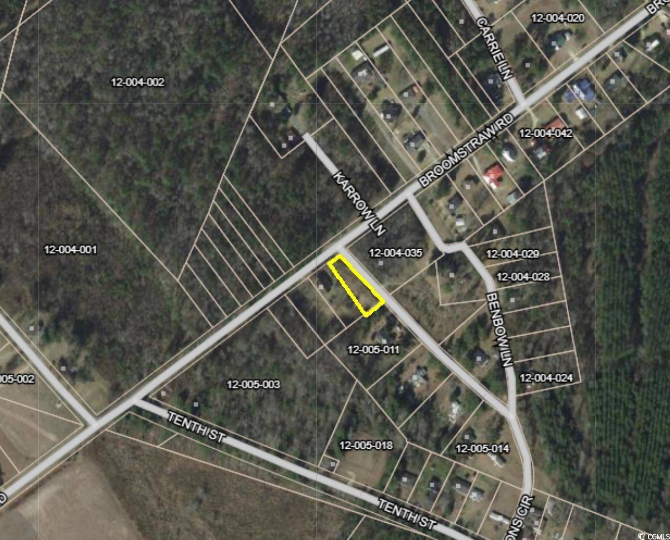 Lane, SC 29564,TBD SW Highway 385
