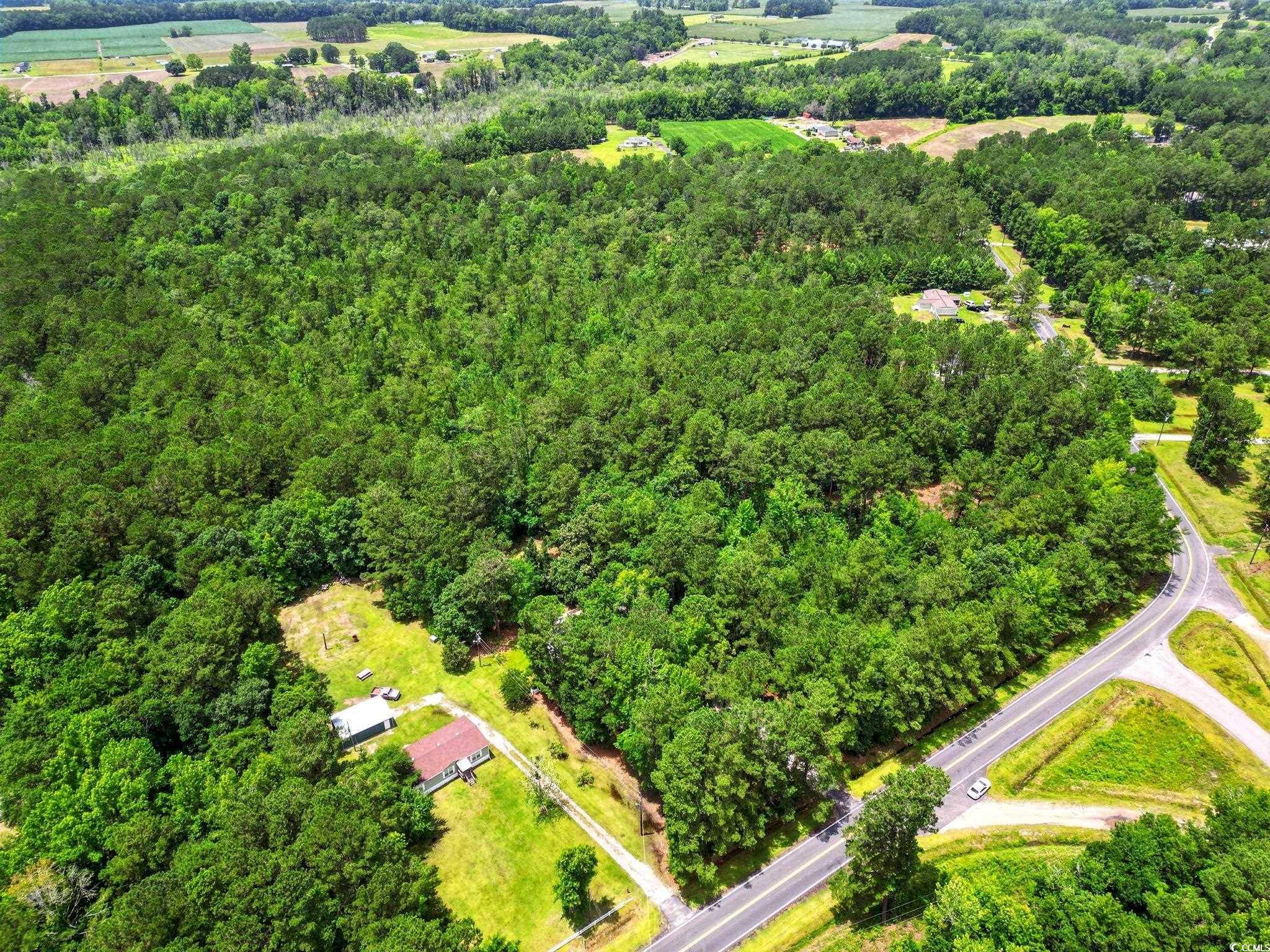 Green Sea, SC 29545,TBD Little Bethel Rd.