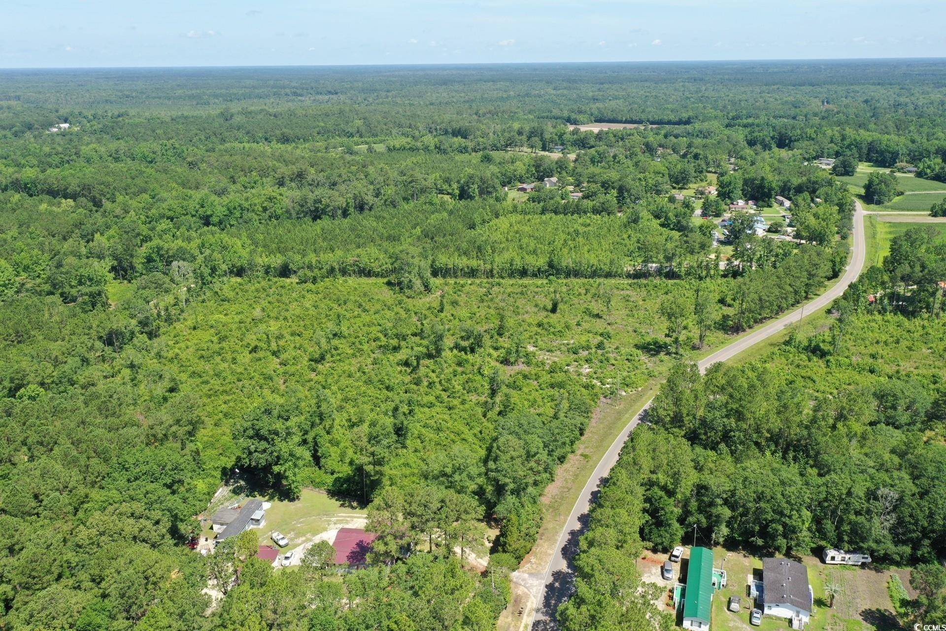 Longs, SC 29568,TBD Pint Circle