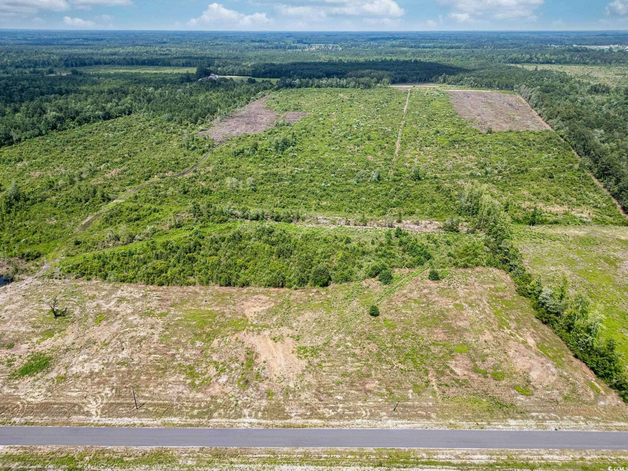 Nichols, SC 29581,TBD Bellaire Dr.