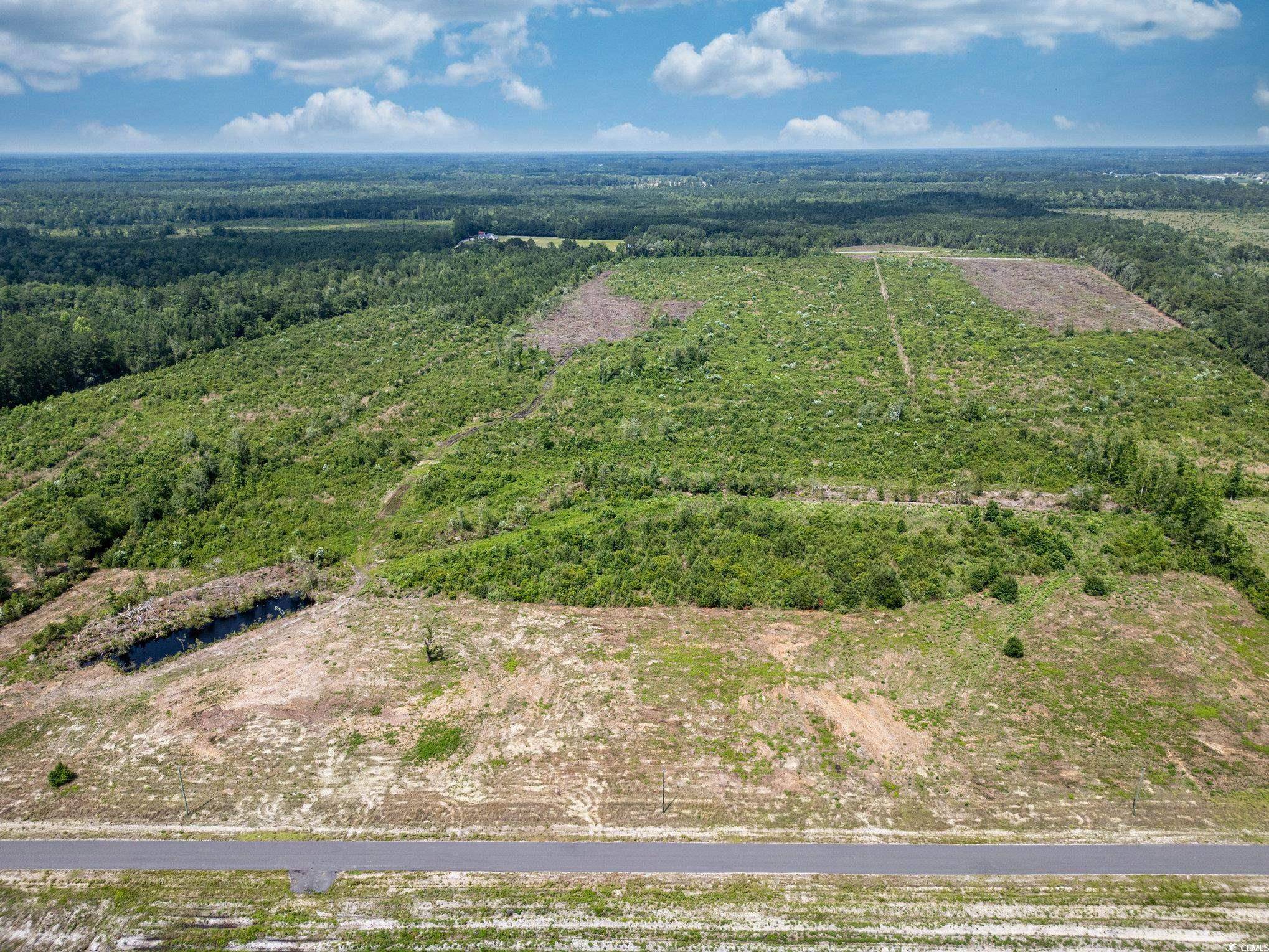 Nichols, SC 29581,TBD Bellaire Dr.