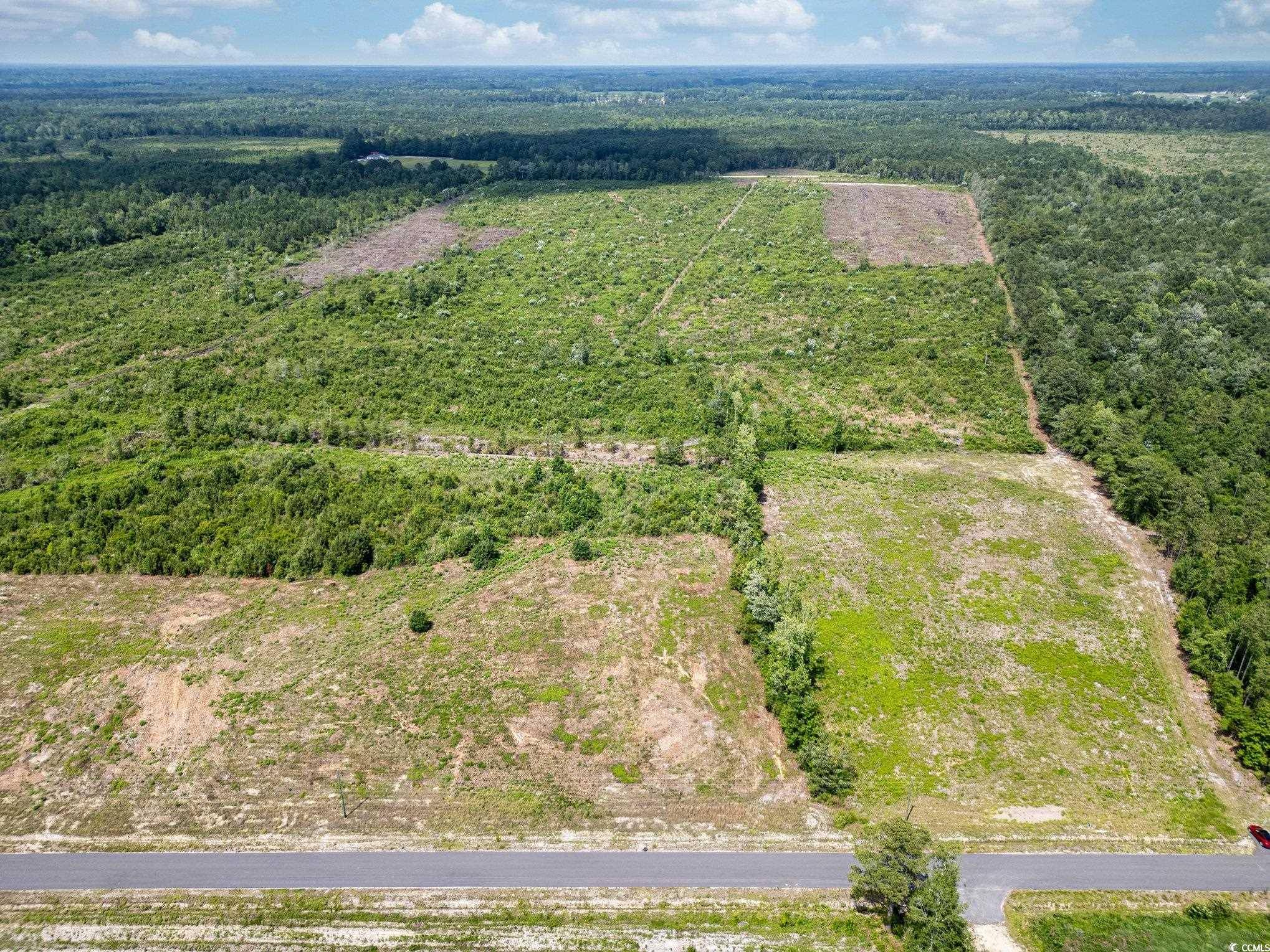Nichols, SC 29581,TBD Bellaire Dr.