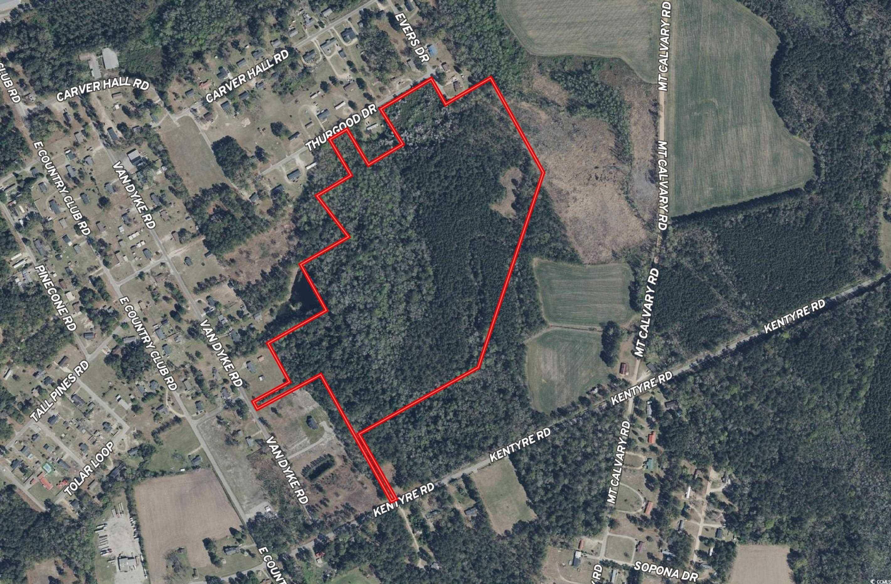 Hamer, SC 29547,TBD Kentyre Rd.