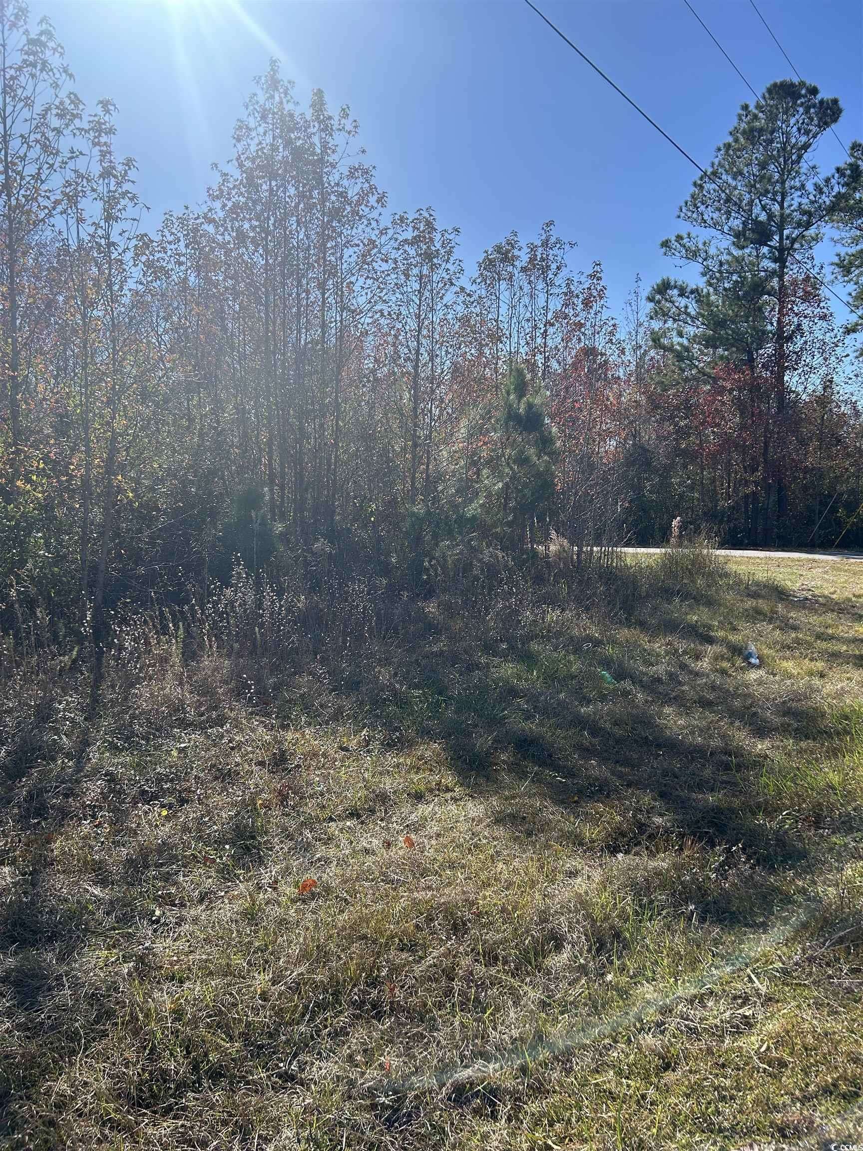 Loris, SC 29569,TBD Apple Valley Rd.