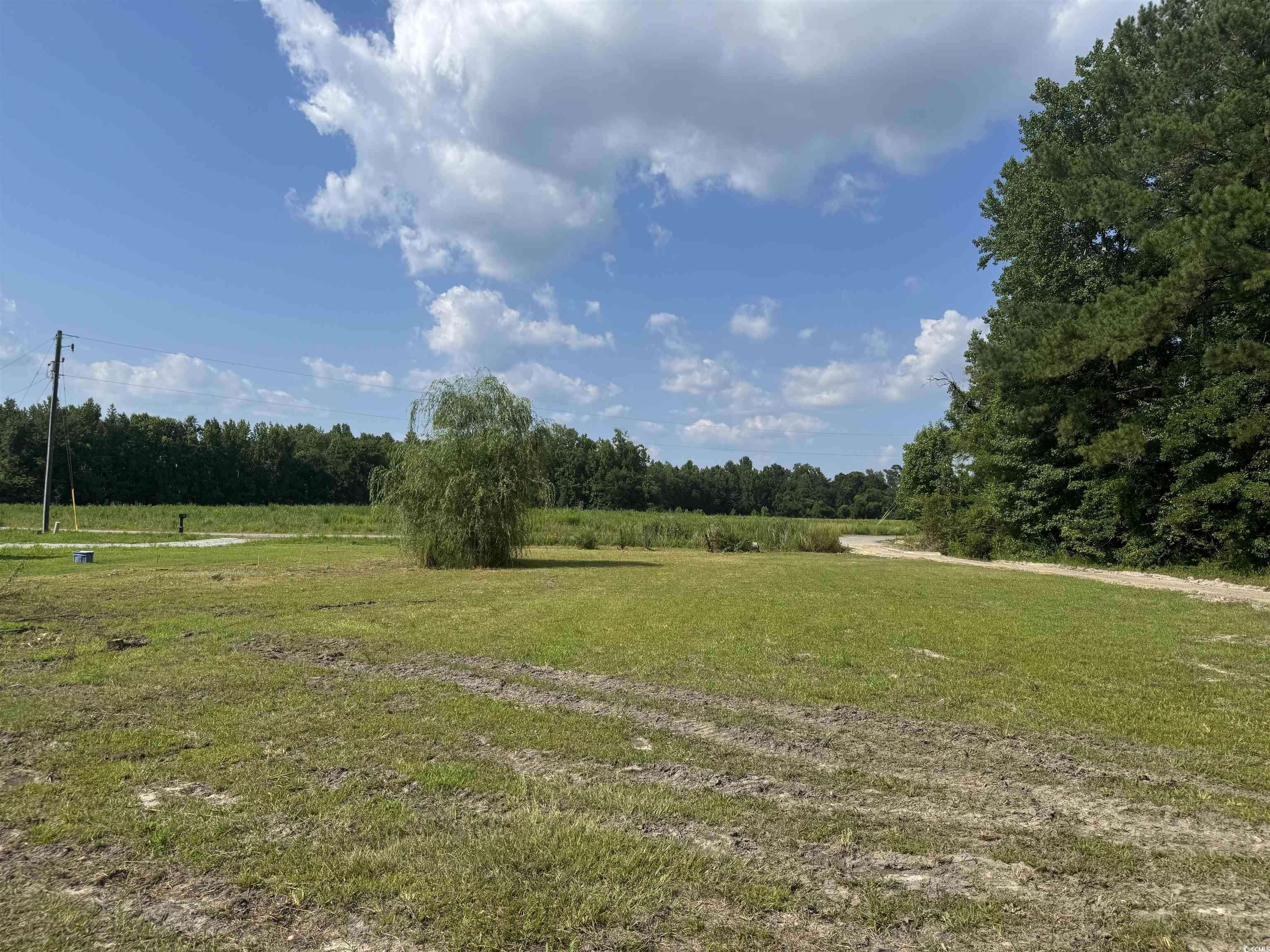 Galivants Ferry, SC 29544,364 Jamie Rd.