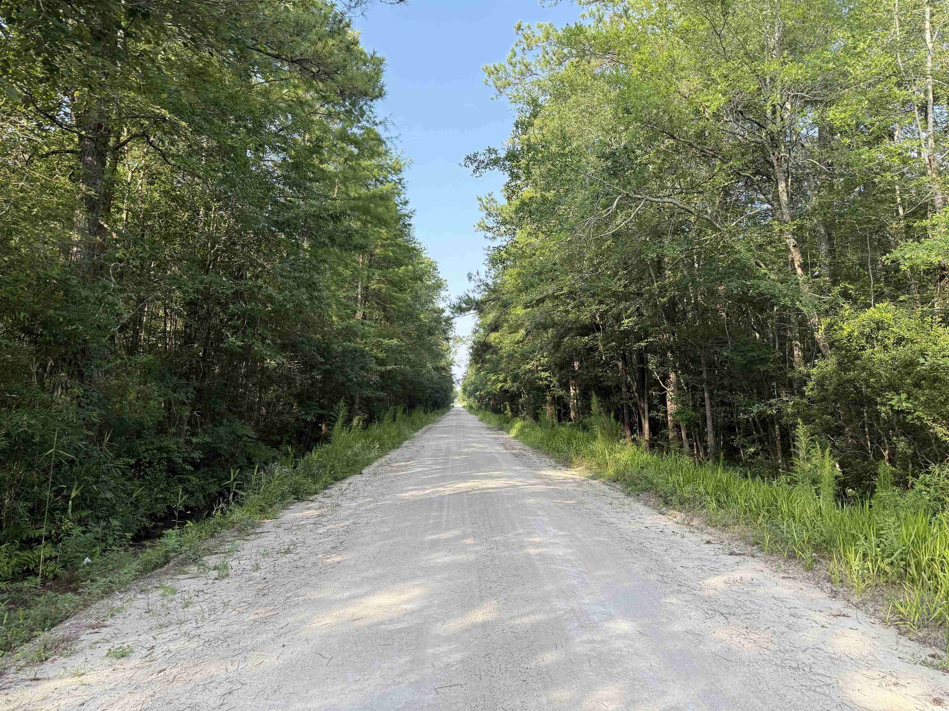 Nichols, SC 29581,TBD Wolf Pit Bay Rd.