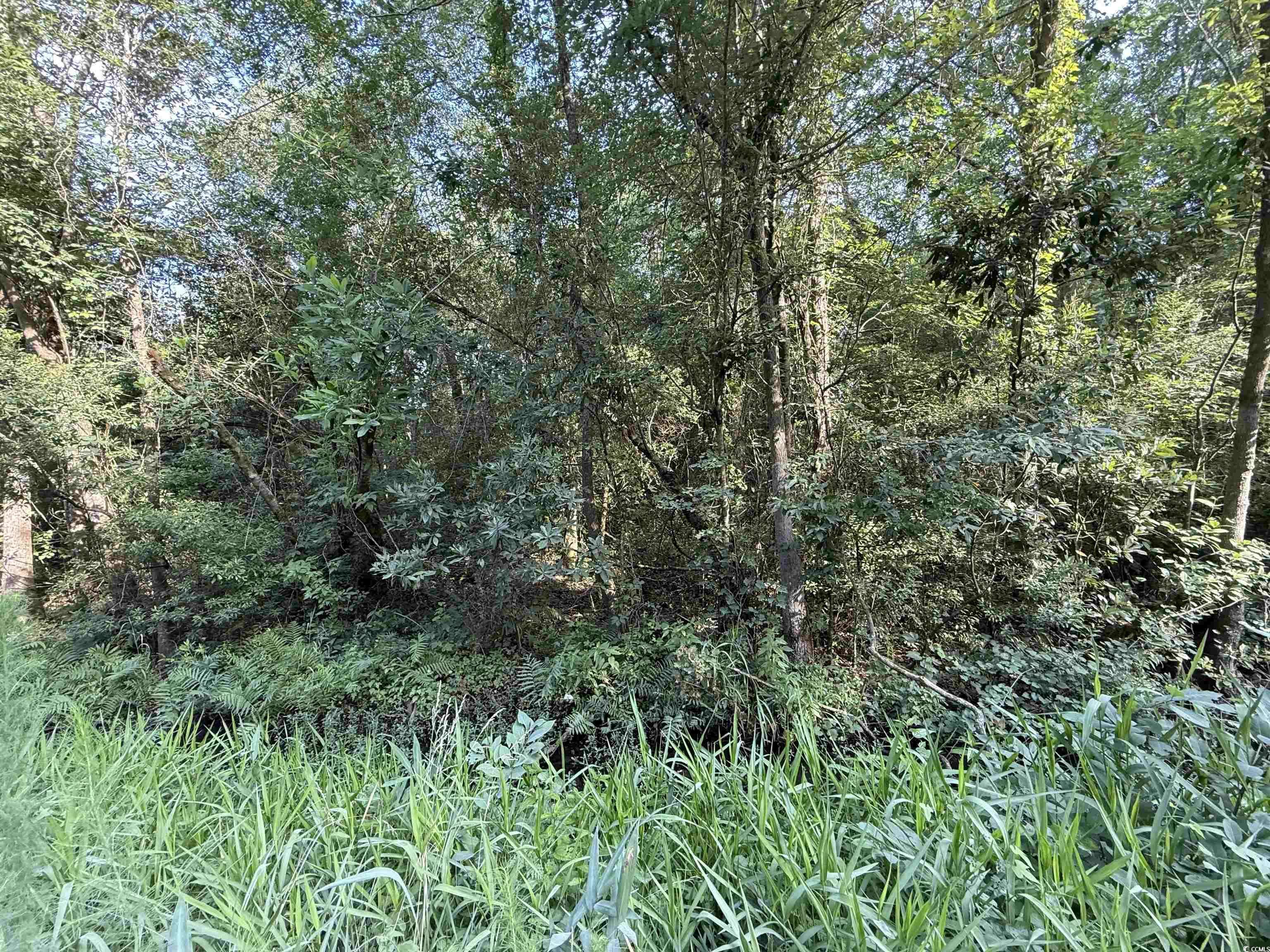 Nichols, SC 29581,TBD Wolf Pit Bay Rd.
