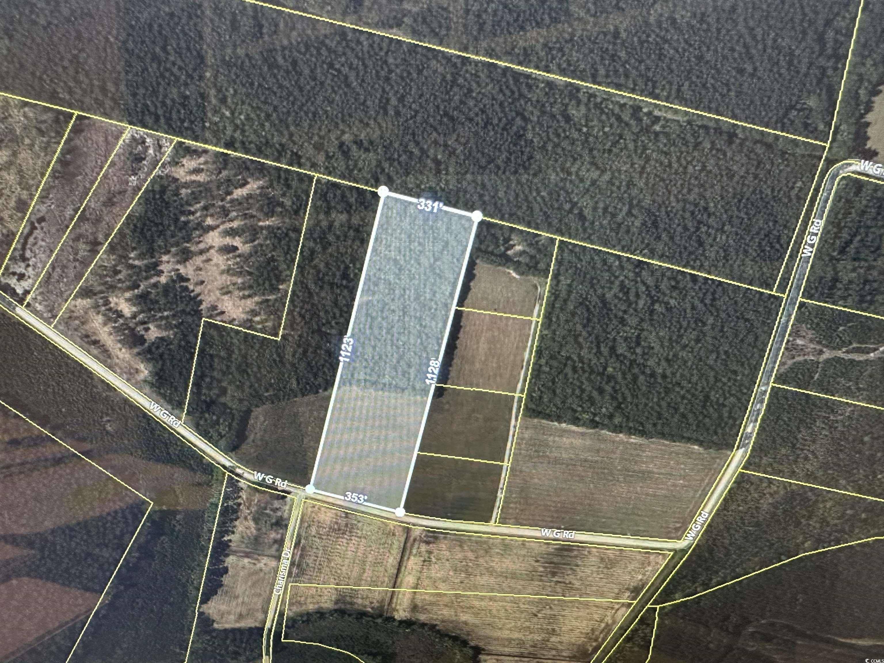 Conway, SC 29526,Lot 1 W G Rd.