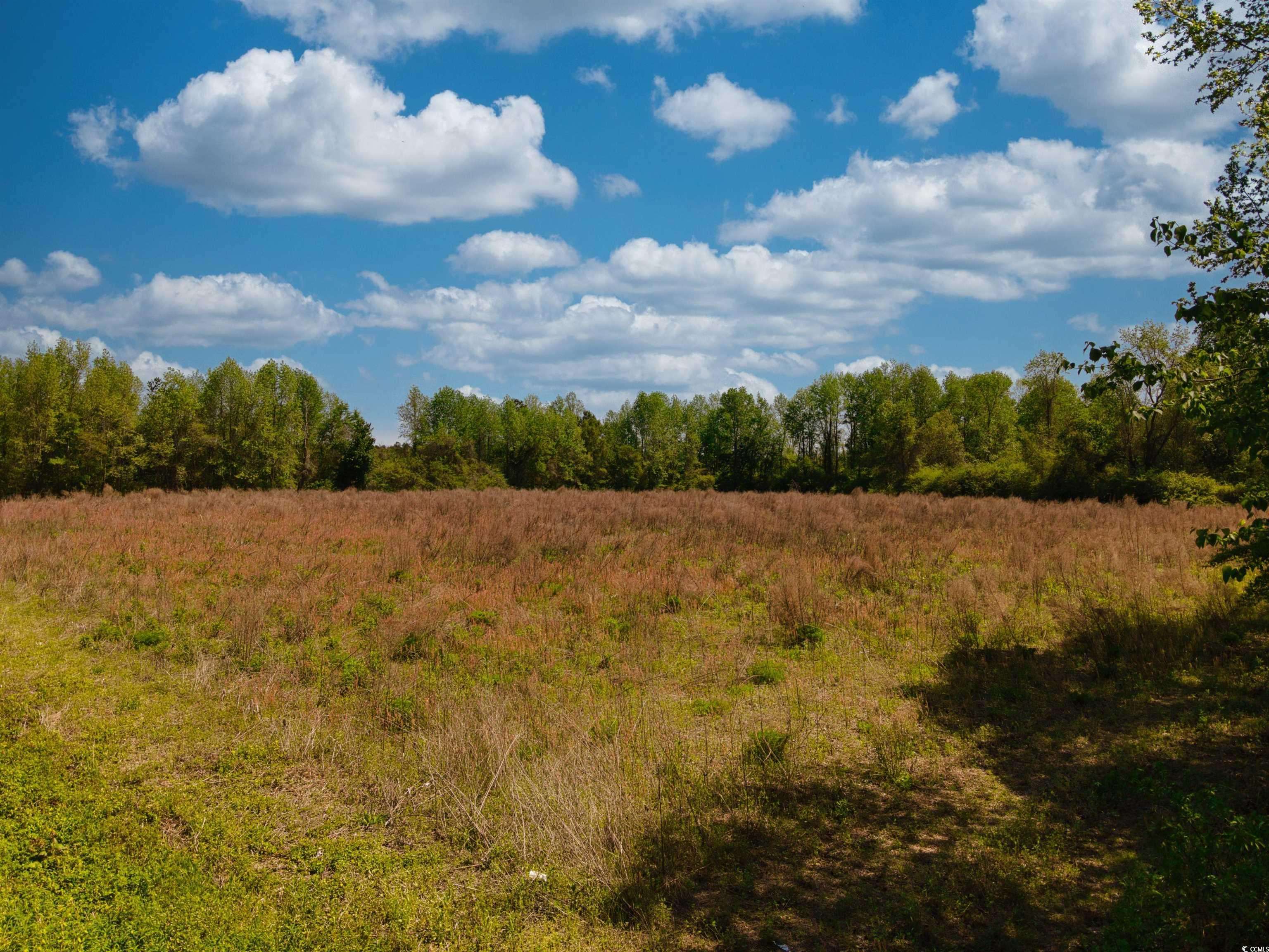Clarendon, NC 28432,0000 Clarendon Chadbourn Rd.