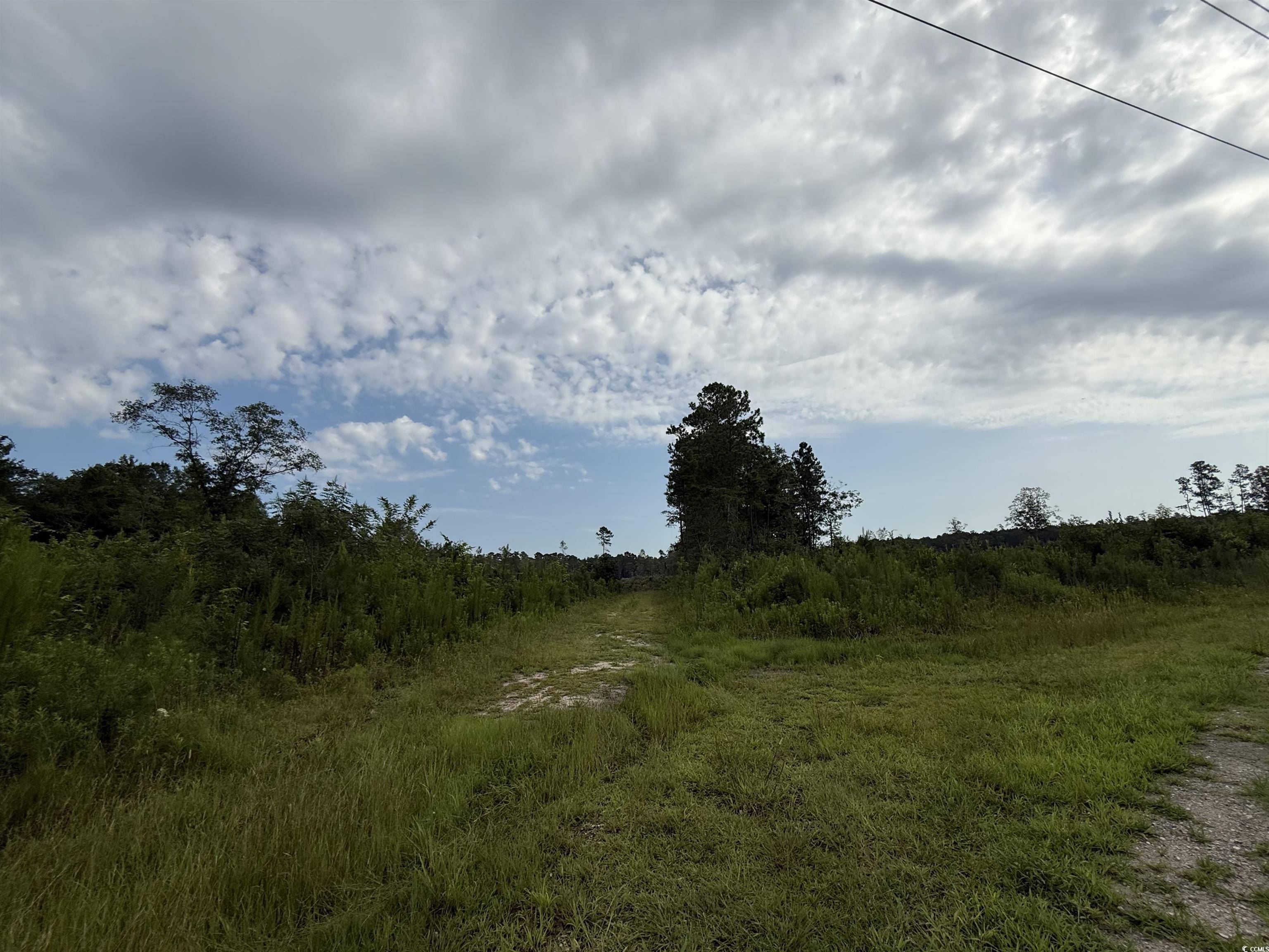 Conway, SC 29526,TBD Dukes Rd.