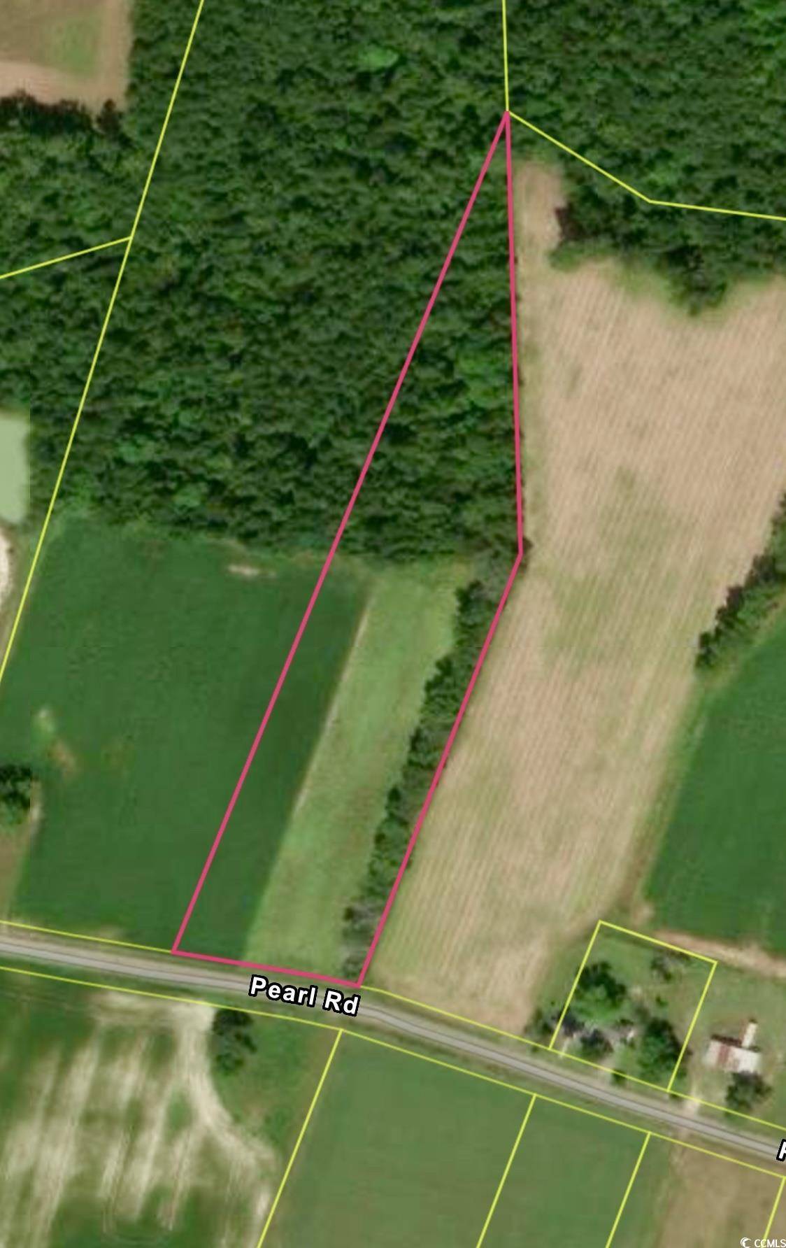 Galivants Ferry, SC 29544,TBD Pearl Rd.