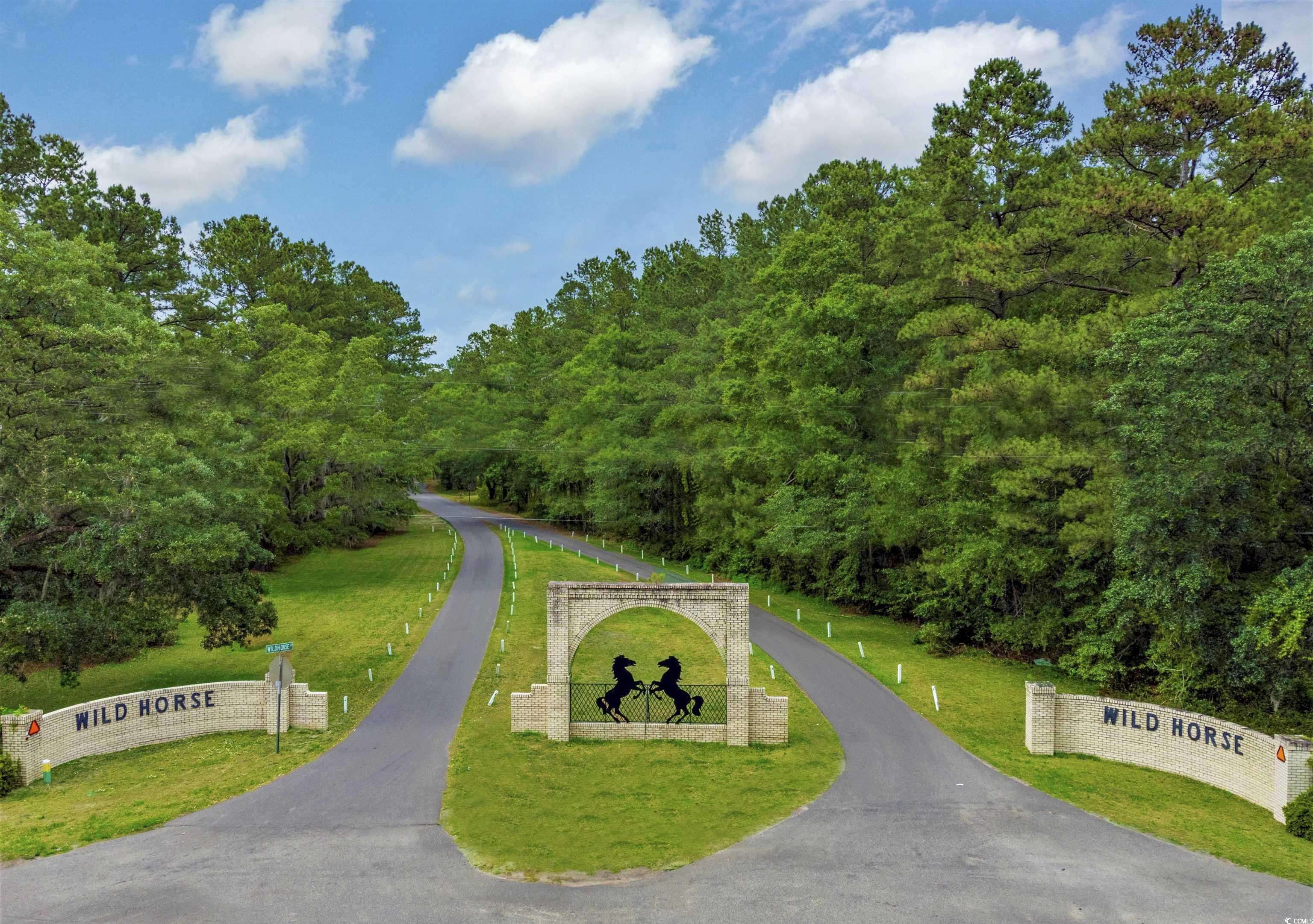 Conway, SC 29526,Wild Horse Dr.