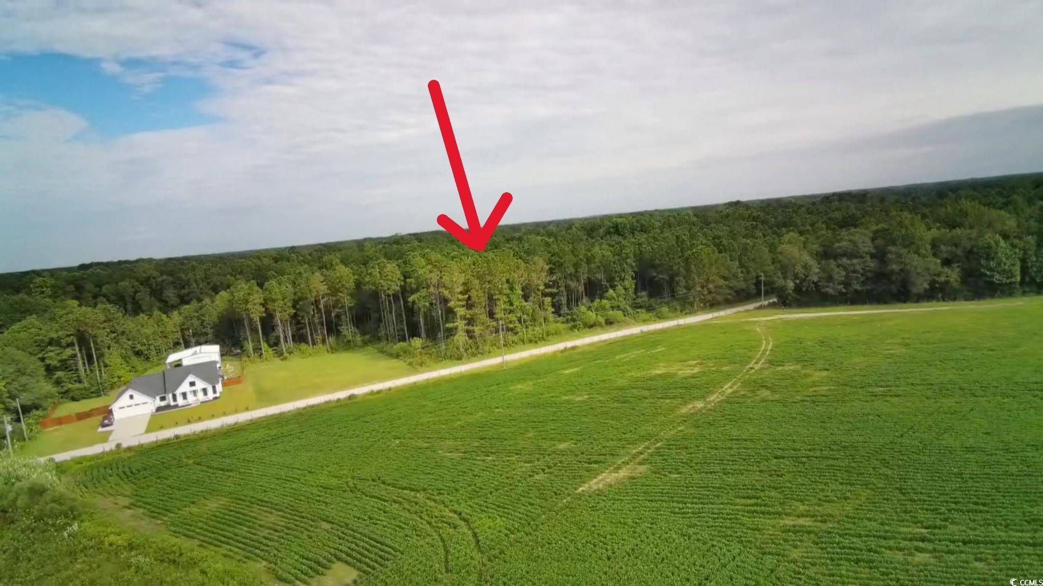 Loris, SC 29569,TBD Lawson Rd.