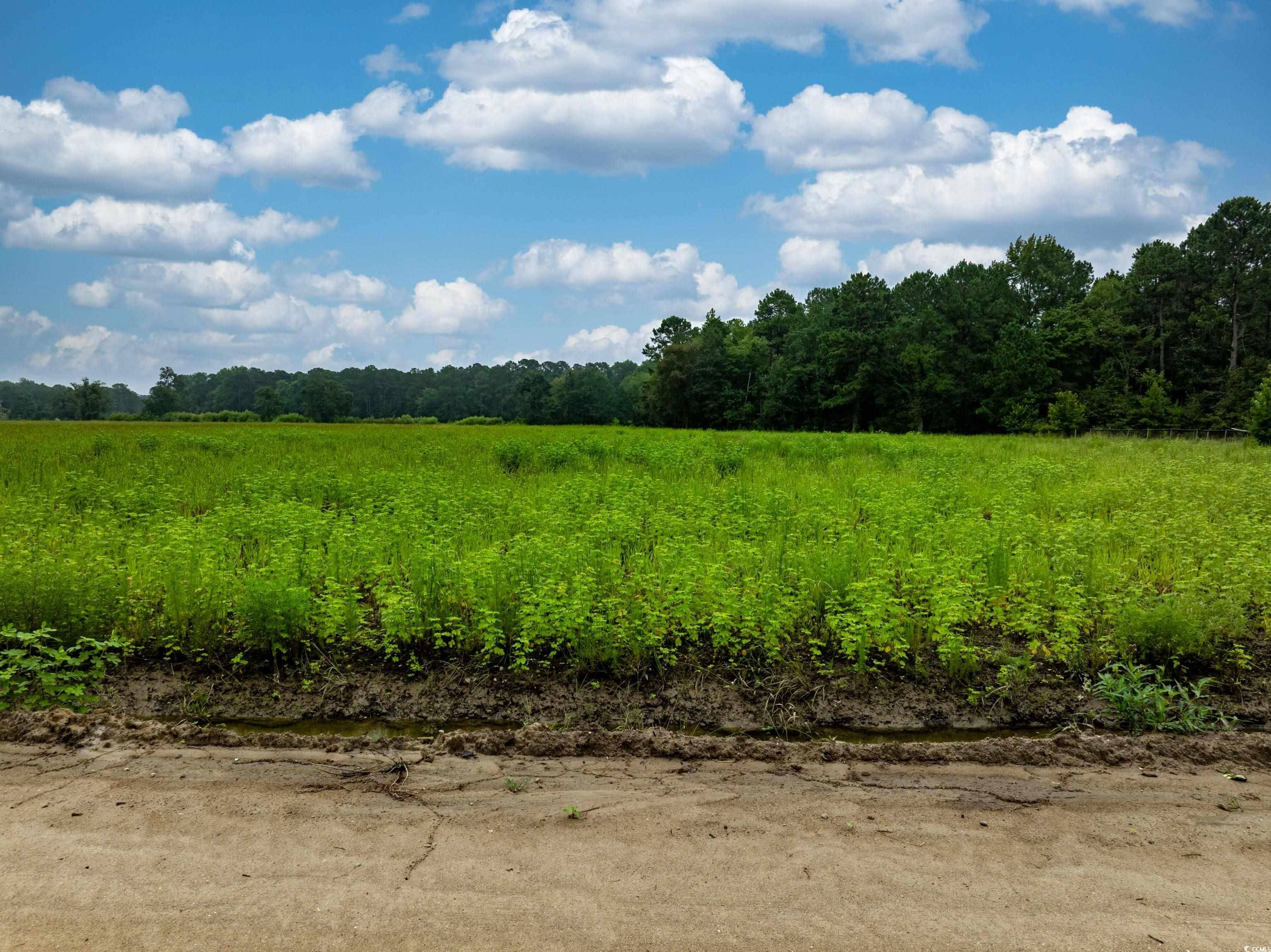 Loris, SC 29569,TBD LOT 2 Tansy Rd.