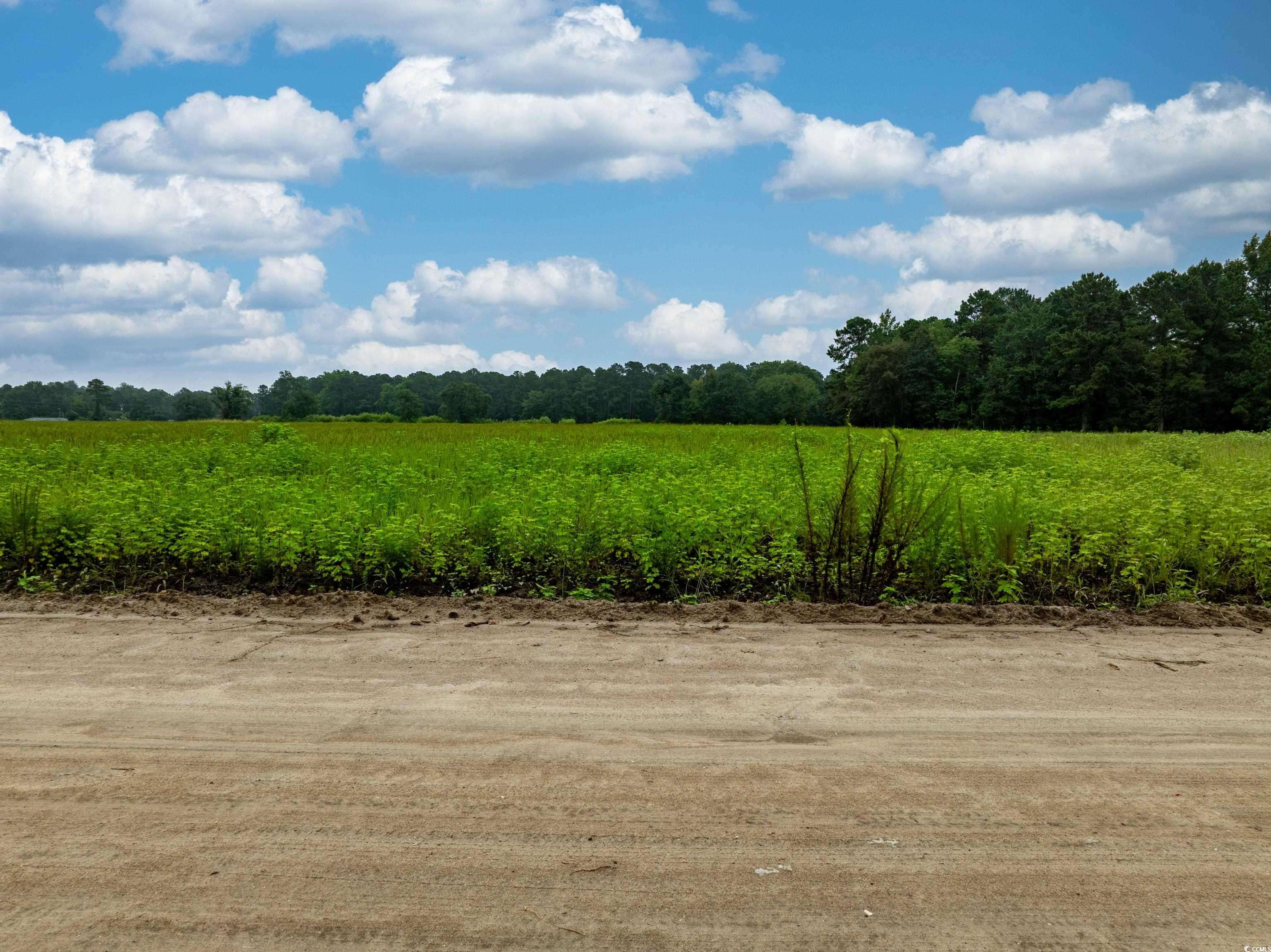 Loris, SC 29569,TBD LOT 3 Tansy Rd.